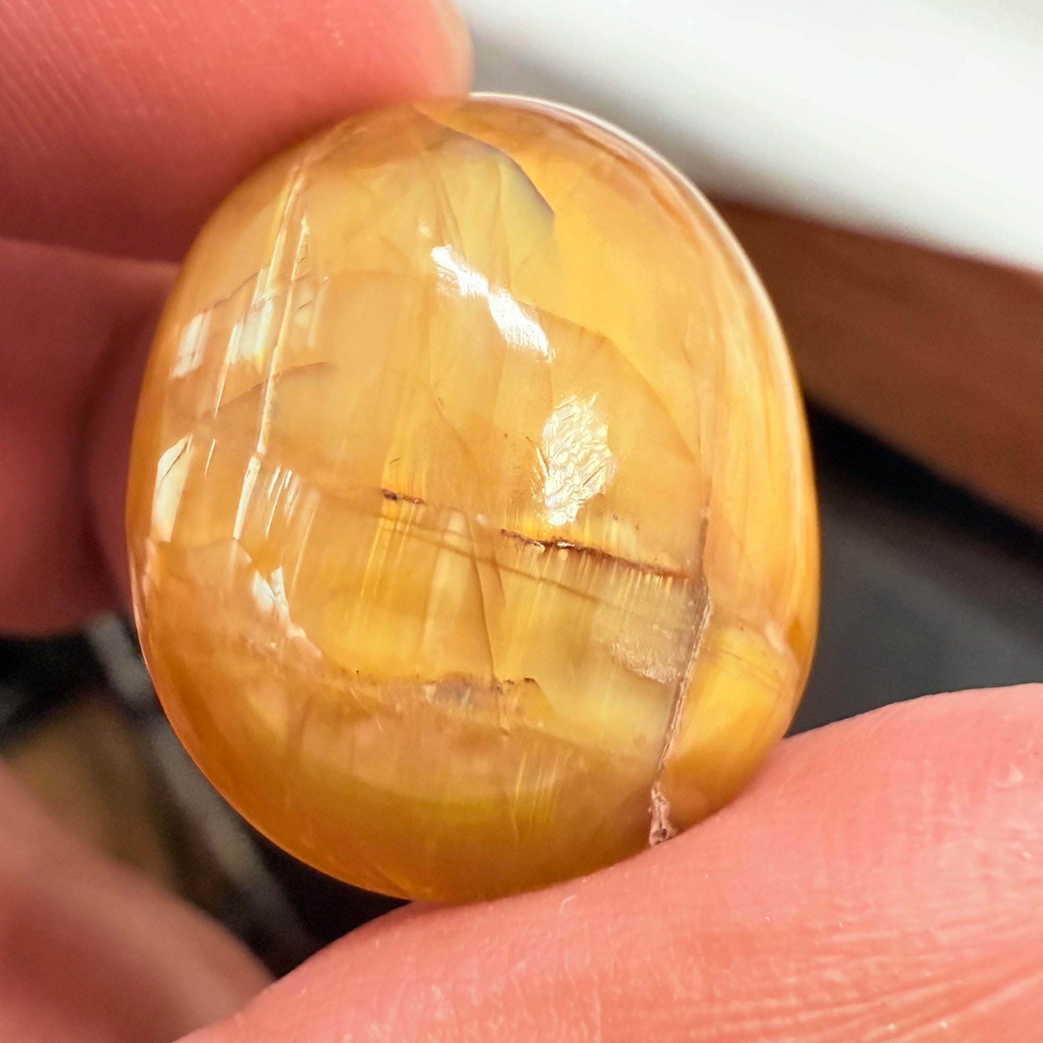 Cats-Eye Opal, 25.85ct, Tanzania, Untreated Unheated