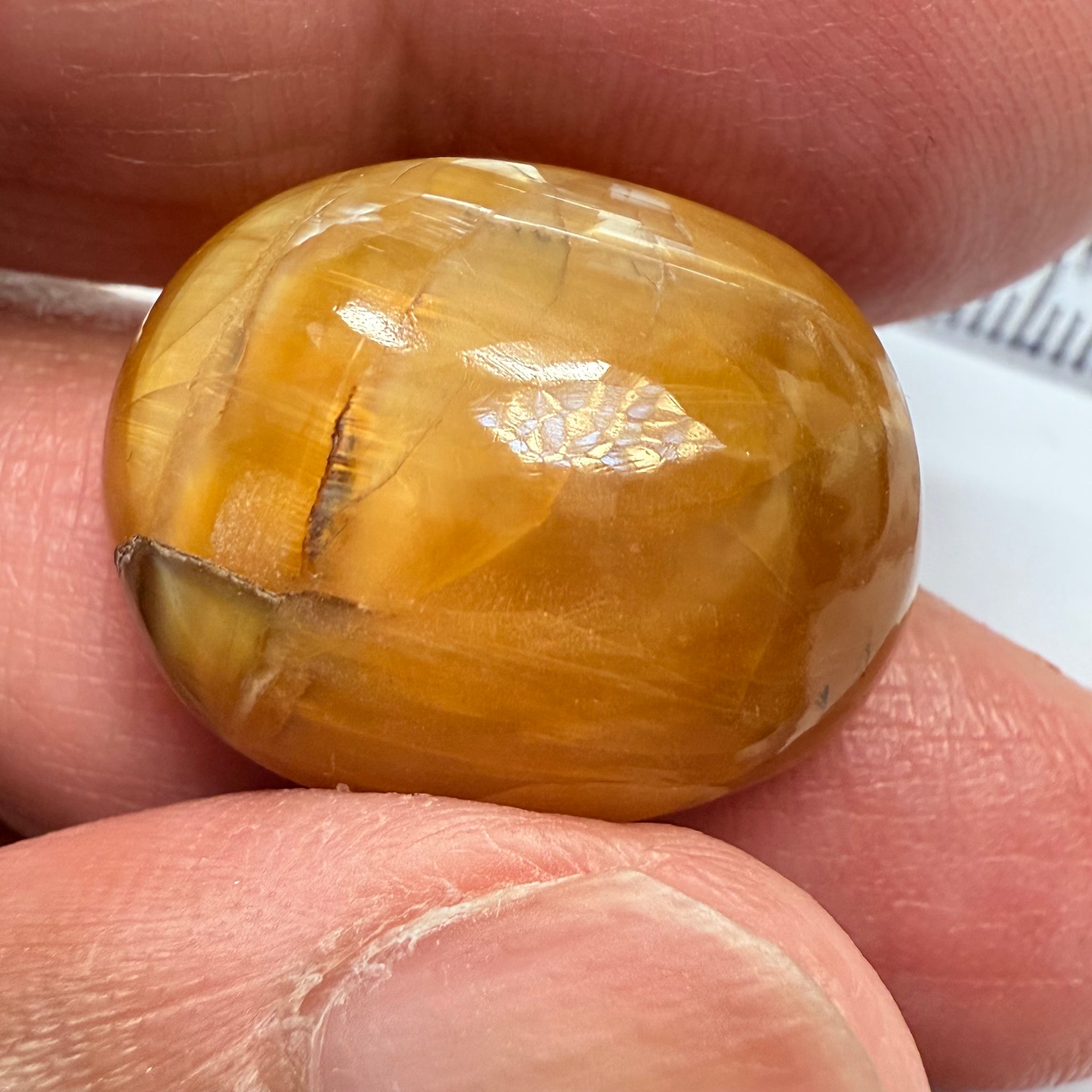 Cats-Eye Opal, 25.85ct, Tanzania, Untreated Unheated