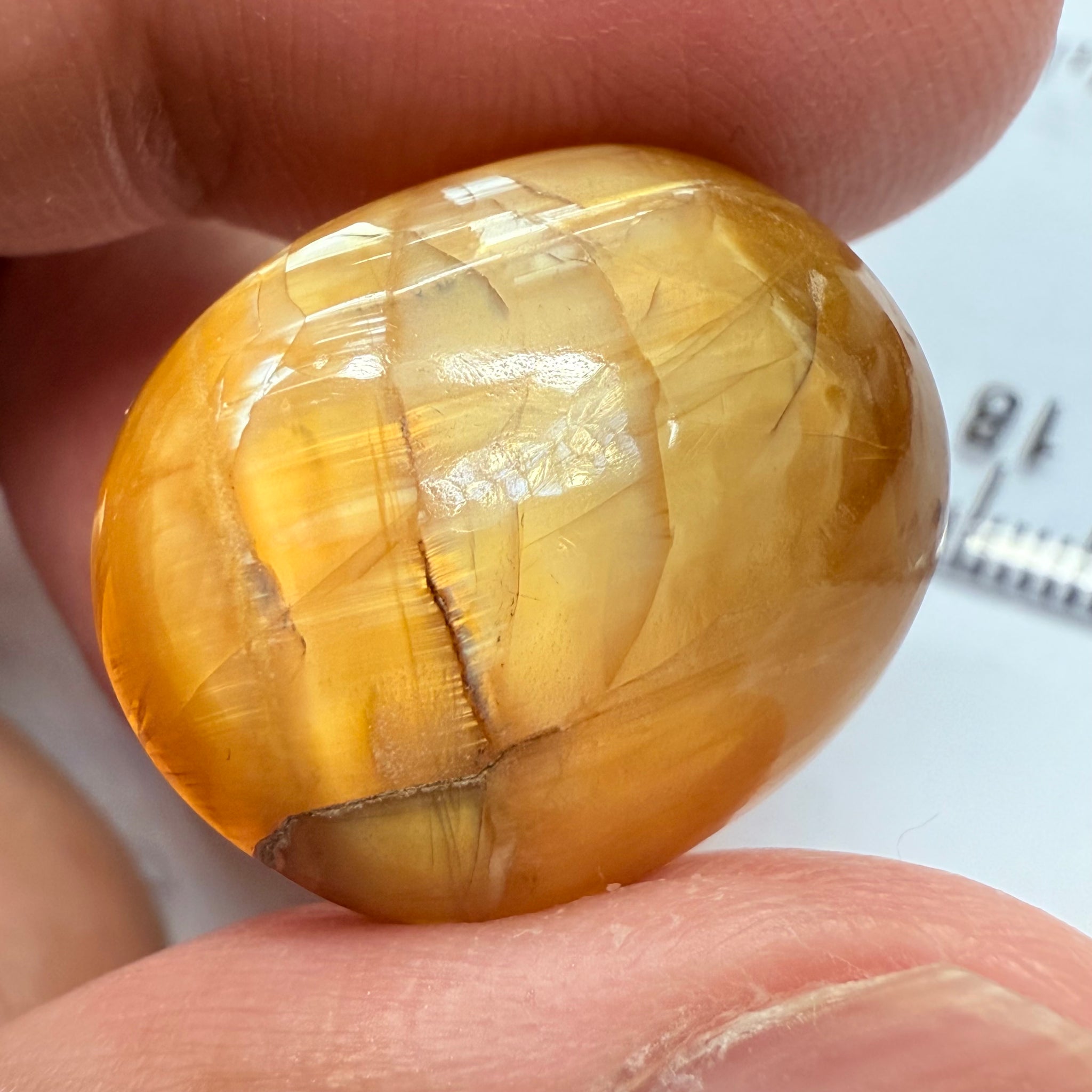 Cats-Eye Opal, 25.85ct, Tanzania, Untreated Unheated