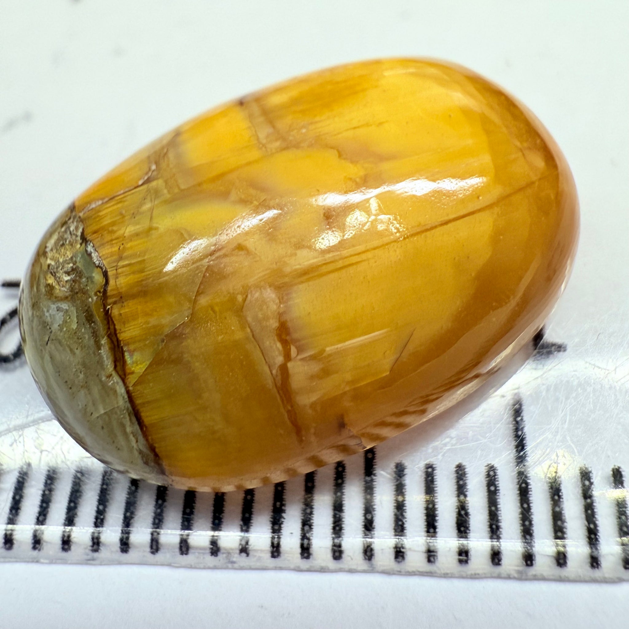 Cats-Eye Opal, 11.61ct, Tanzania, Untreated Unheated