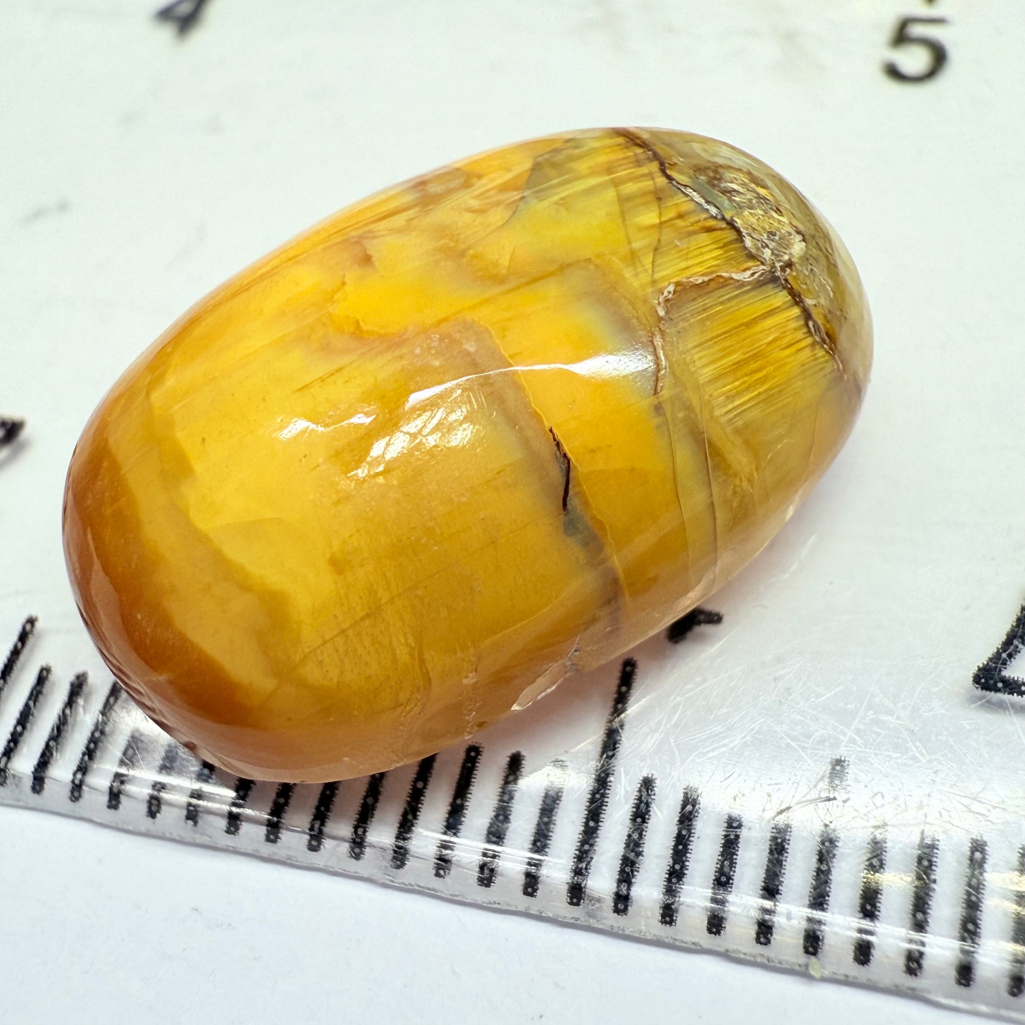 Cats-Eye Opal, 11.61ct, Tanzania, Untreated Unheated