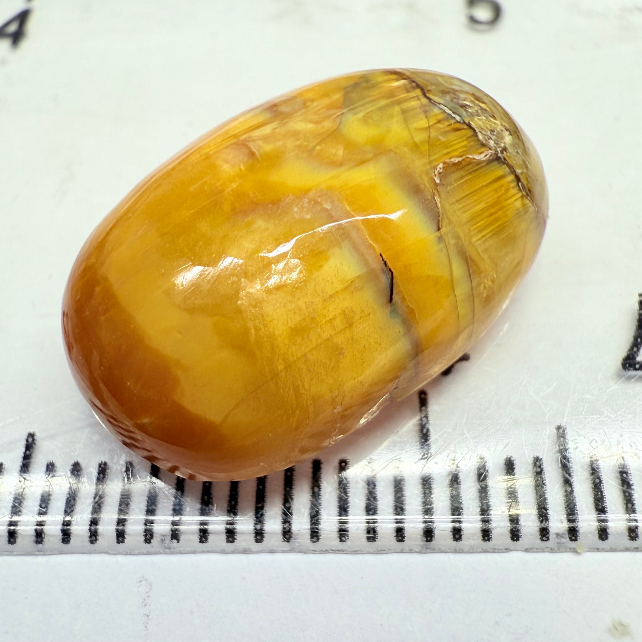 Cats-Eye Opal, 11.61ct, Tanzania, Untreated Unheated