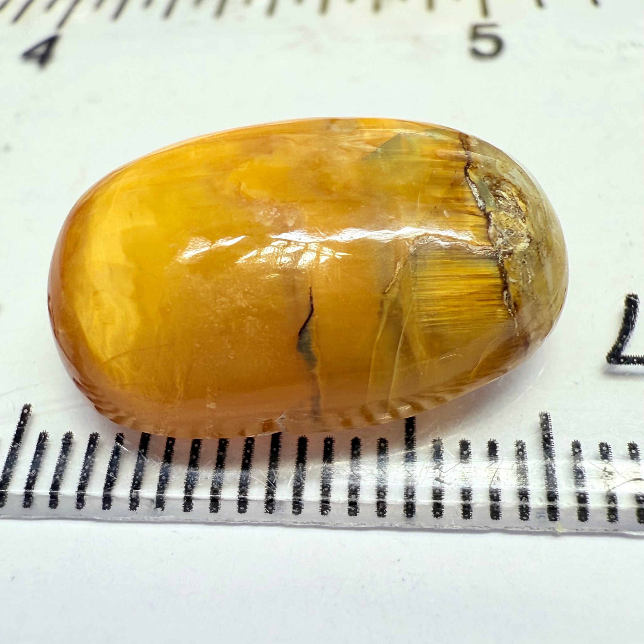 Cats-Eye Opal, 11.61ct, Tanzania, Untreated Unheated