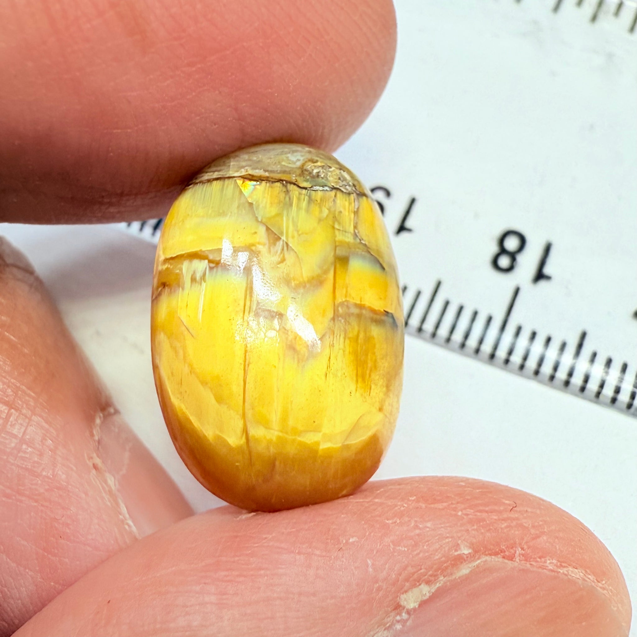 Cats-Eye Opal, 11.61ct, Tanzania, Untreated Unheated