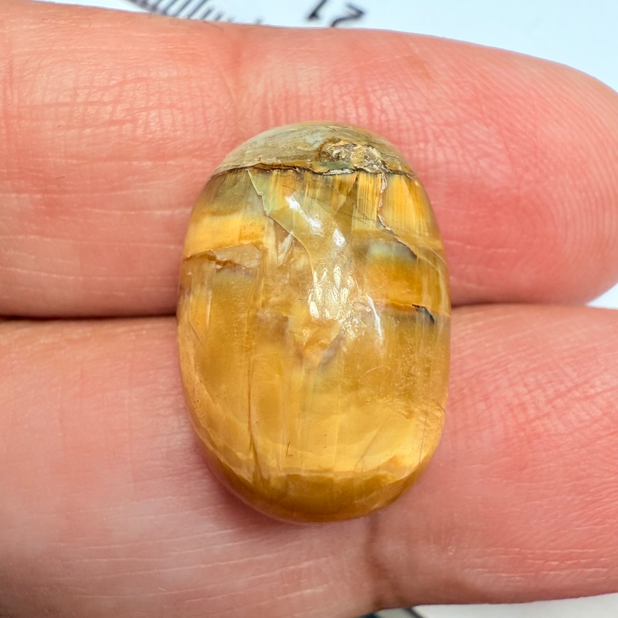 Cats-Eye Opal, 11.61ct, Tanzania, Untreated Unheated