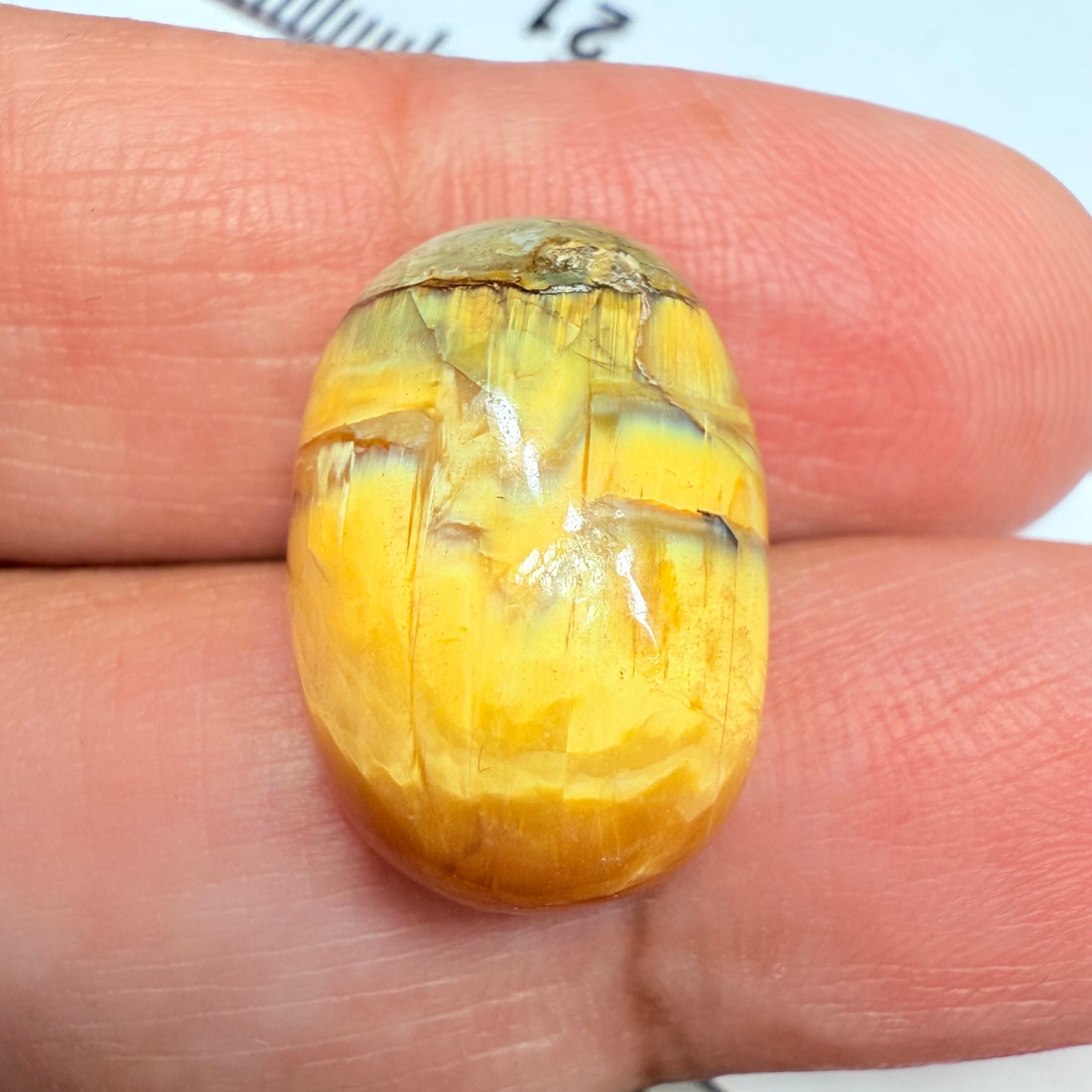 Cats-Eye Opal, 11.61ct, Tanzania, Untreated Unheated