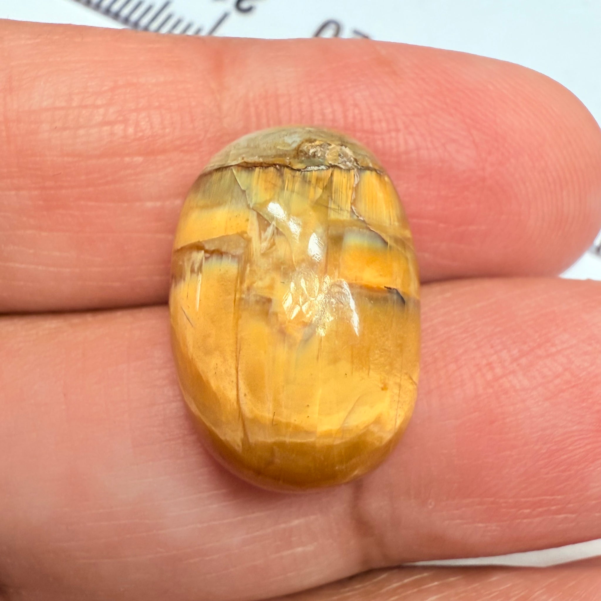 Cats-Eye Opal, 11.61ct, Tanzania, Untreated Unheated