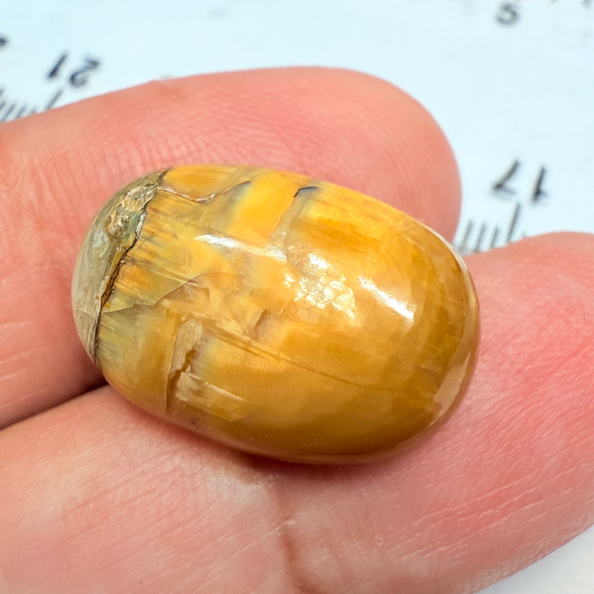 Cats-Eye Opal, 11.61ct, Tanzania, Untreated Unheated