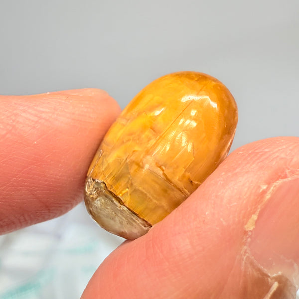 Cats-Eye Opal, 11.61ct, Tanzania, Untreated Unheated