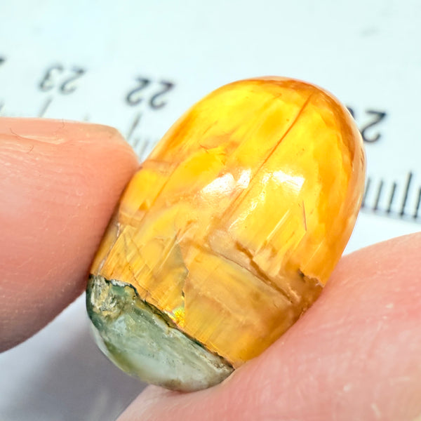 Cats-Eye Opal, 11.61ct, Tanzania, Untreated Unheated