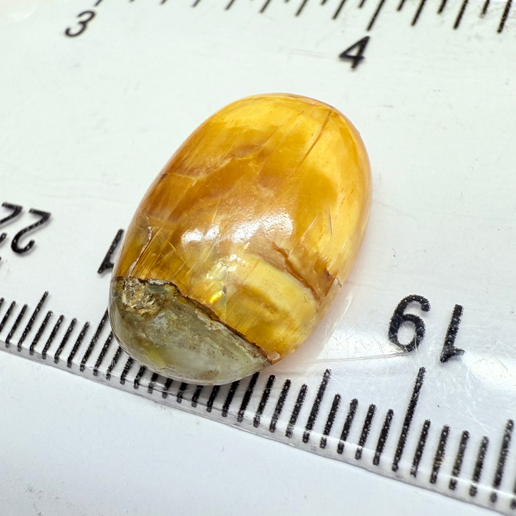 Cats-Eye Opal, 11.61ct, Tanzania, Untreated Unheated