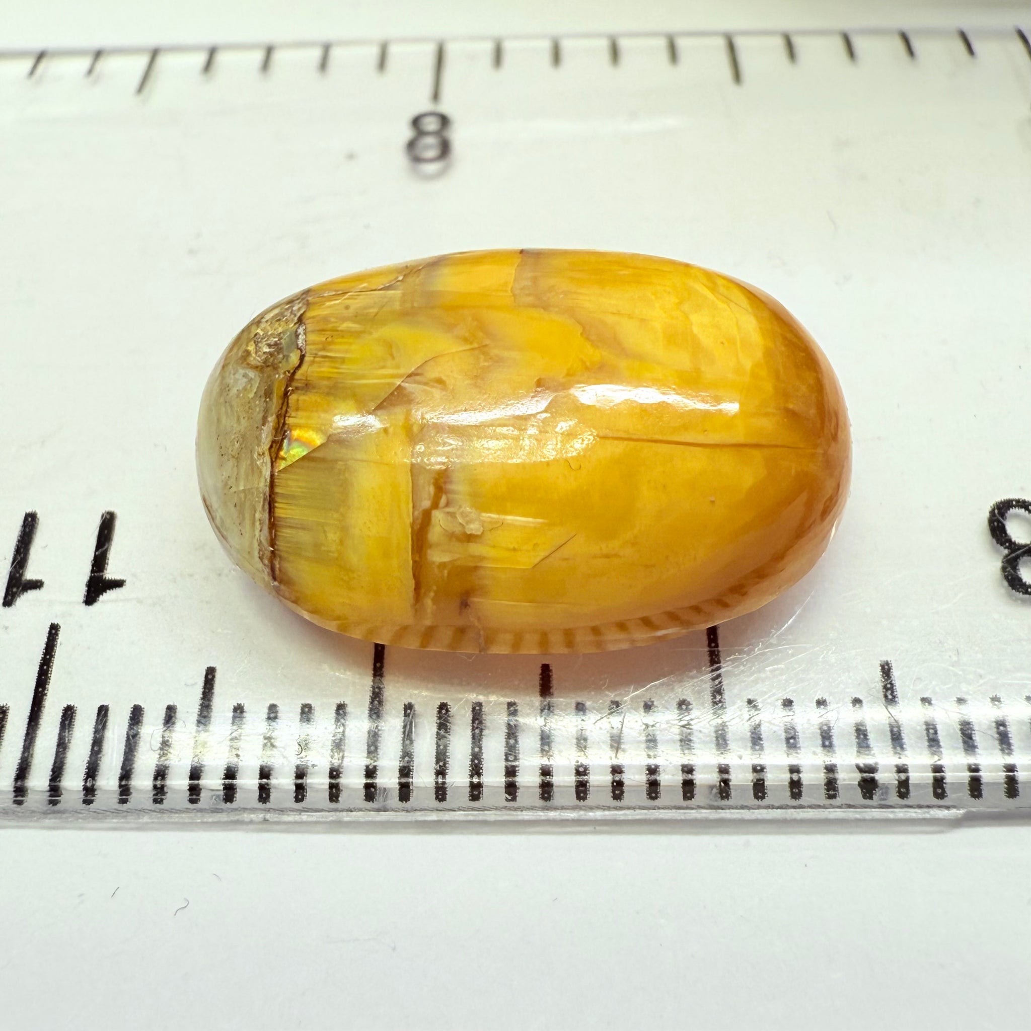 Cats-Eye Opal, 11.61ct, Tanzania, Untreated Unheated