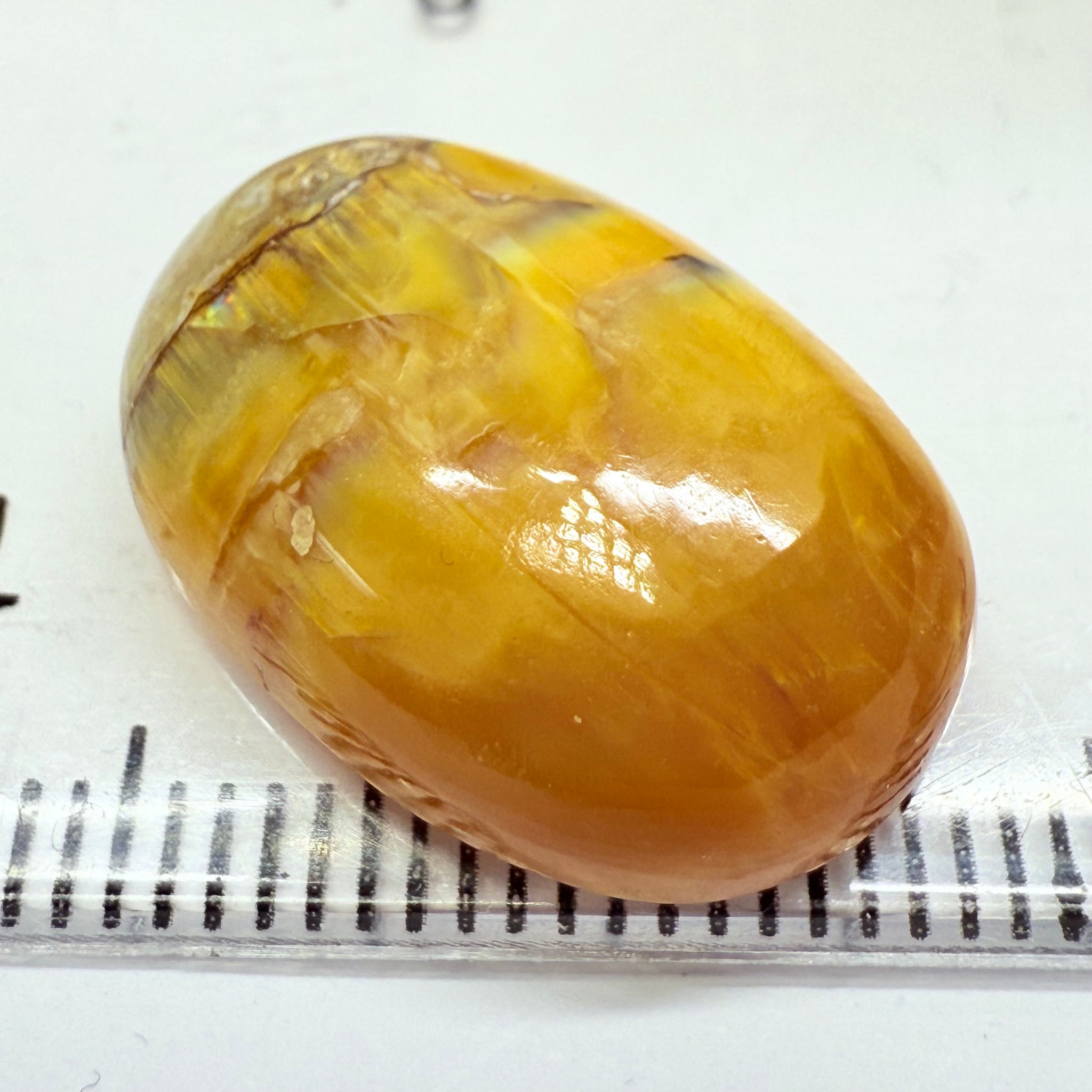 Cats-Eye Opal, 11.61ct, Tanzania, Untreated Unheated