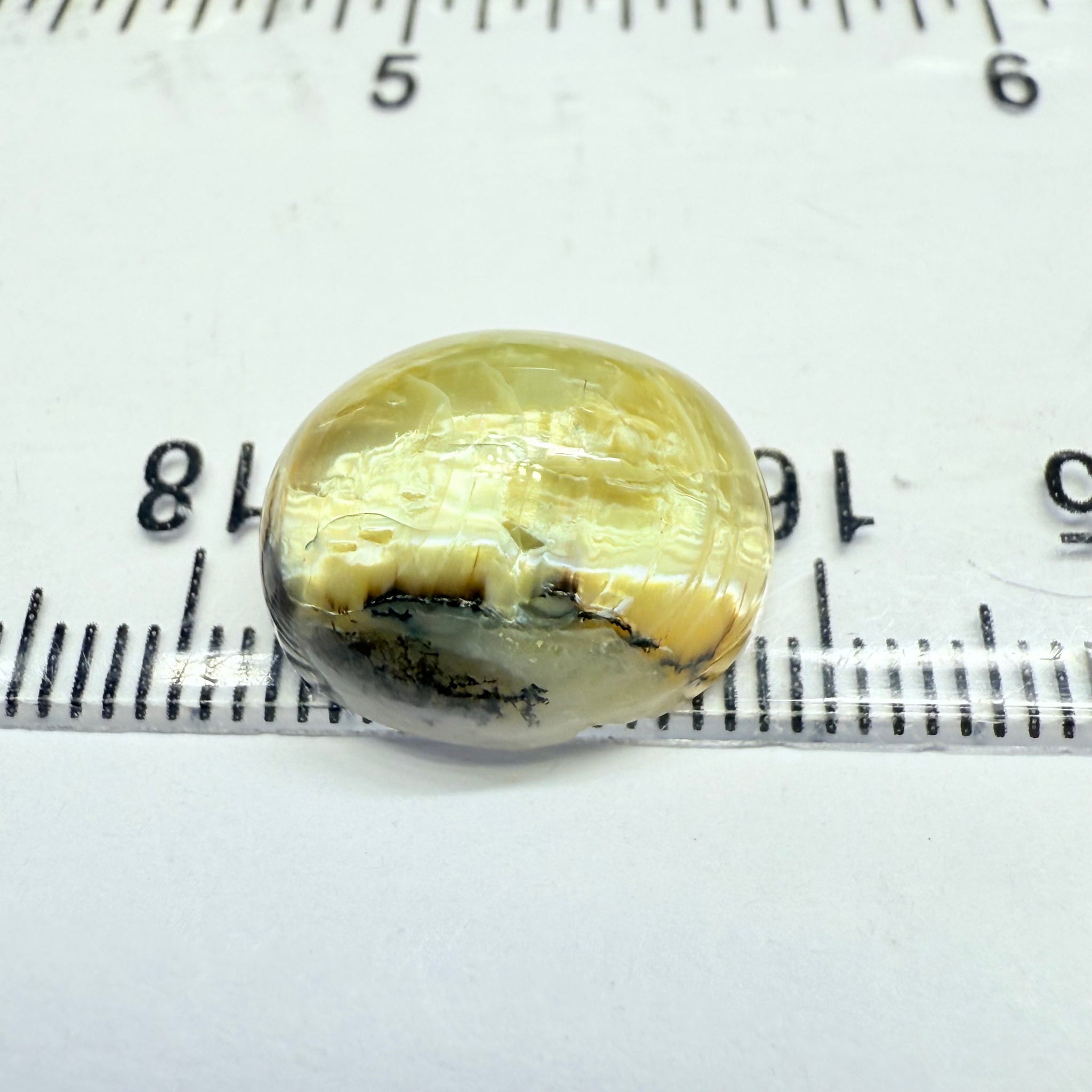 Cats-Eye Opal, 9.42ct, Tanzania, Untreated Unheated