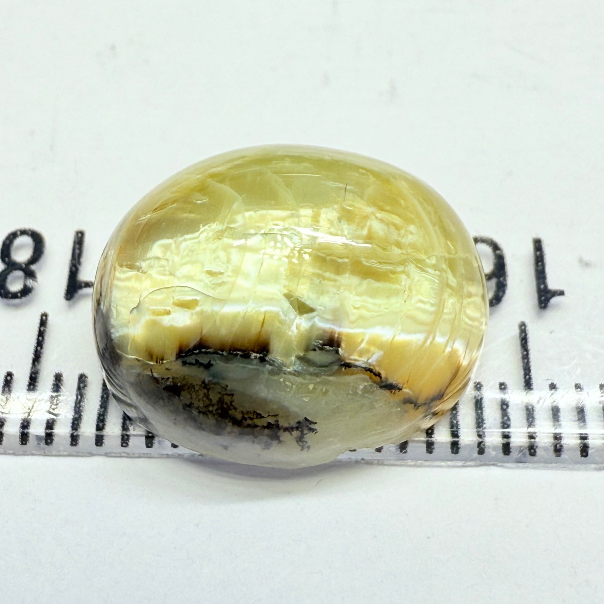 Cats-Eye Opal, 9.42ct, Tanzania, Untreated Unheated