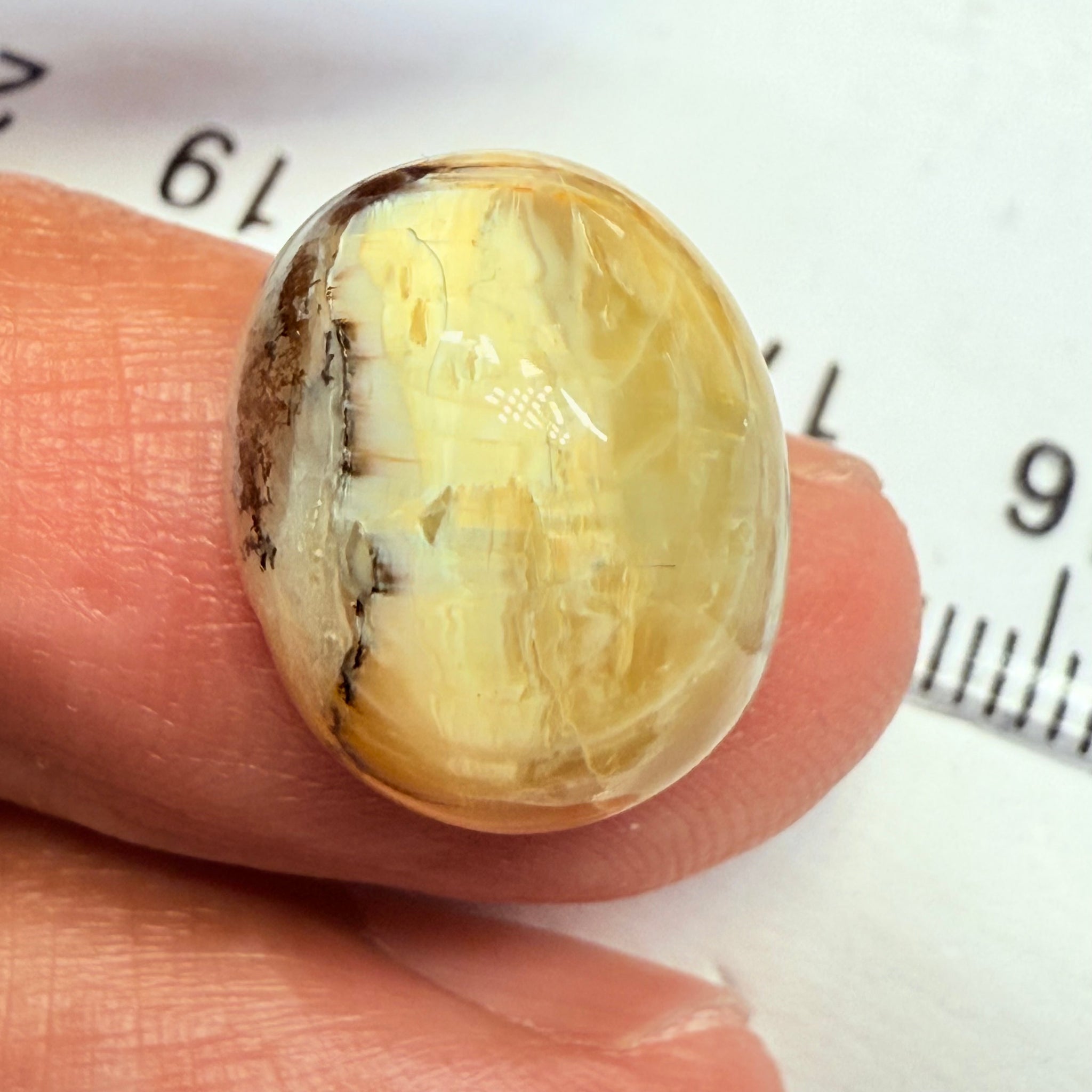 Cats-Eye Opal, 9.42ct, Tanzania, Untreated Unheated