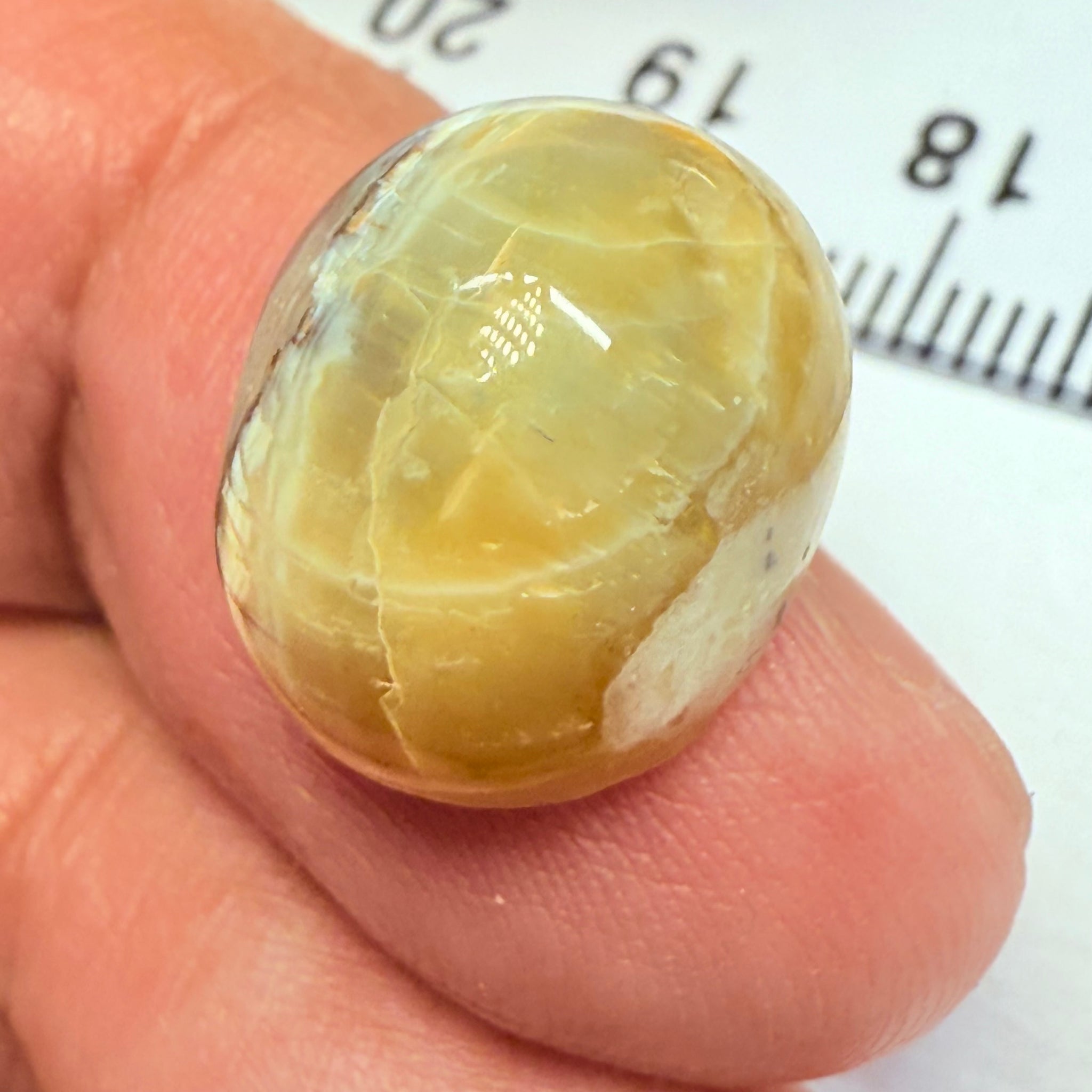 Cats-Eye Opal, 9.42ct, Tanzania, Untreated Unheated