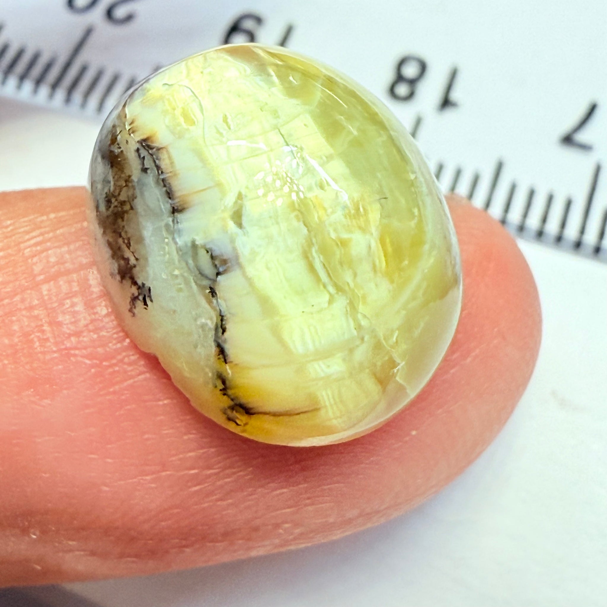 Cats-Eye Opal, 9.42ct, Tanzania, Untreated Unheated