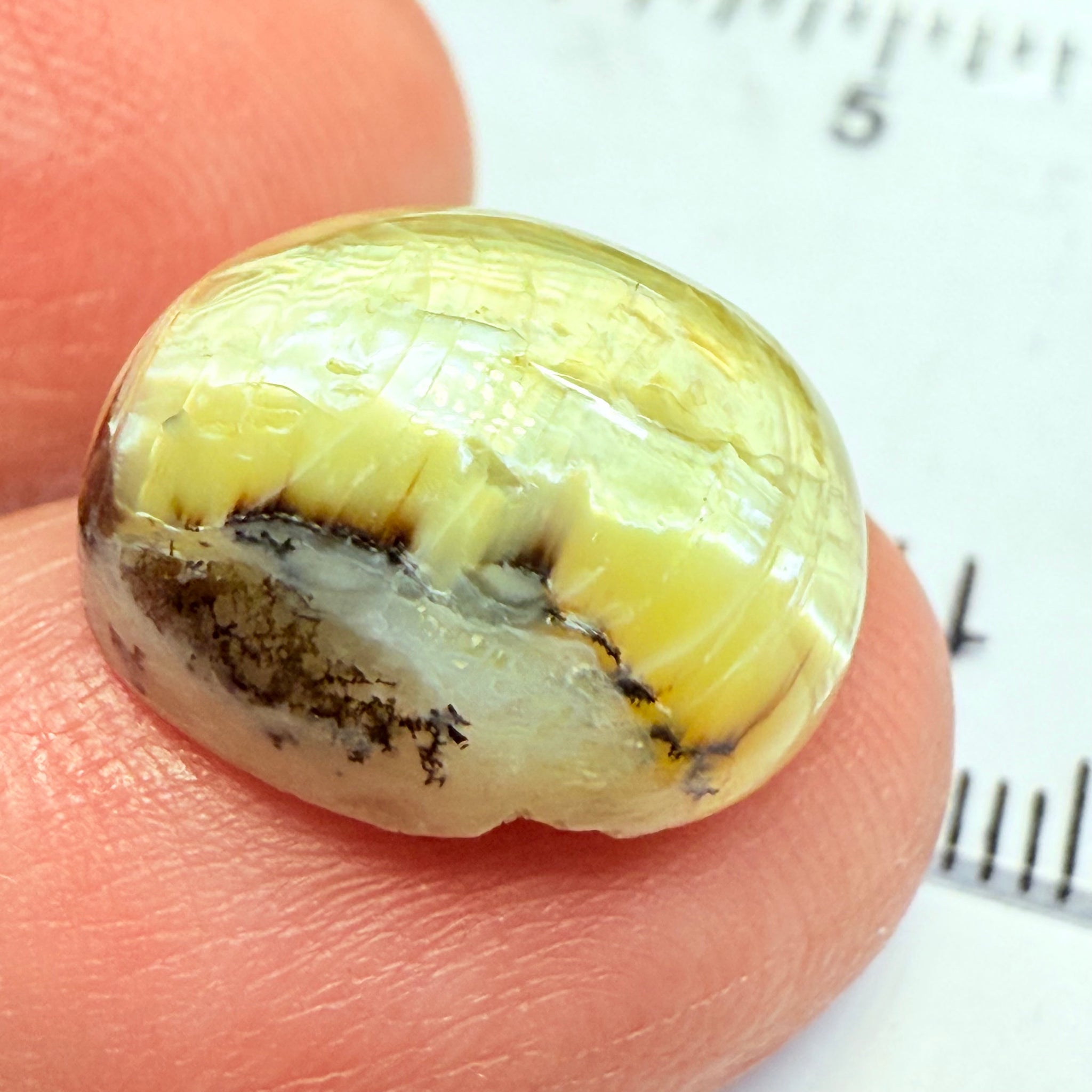 Cats-Eye Opal, 9.42ct, Tanzania, Untreated Unheated