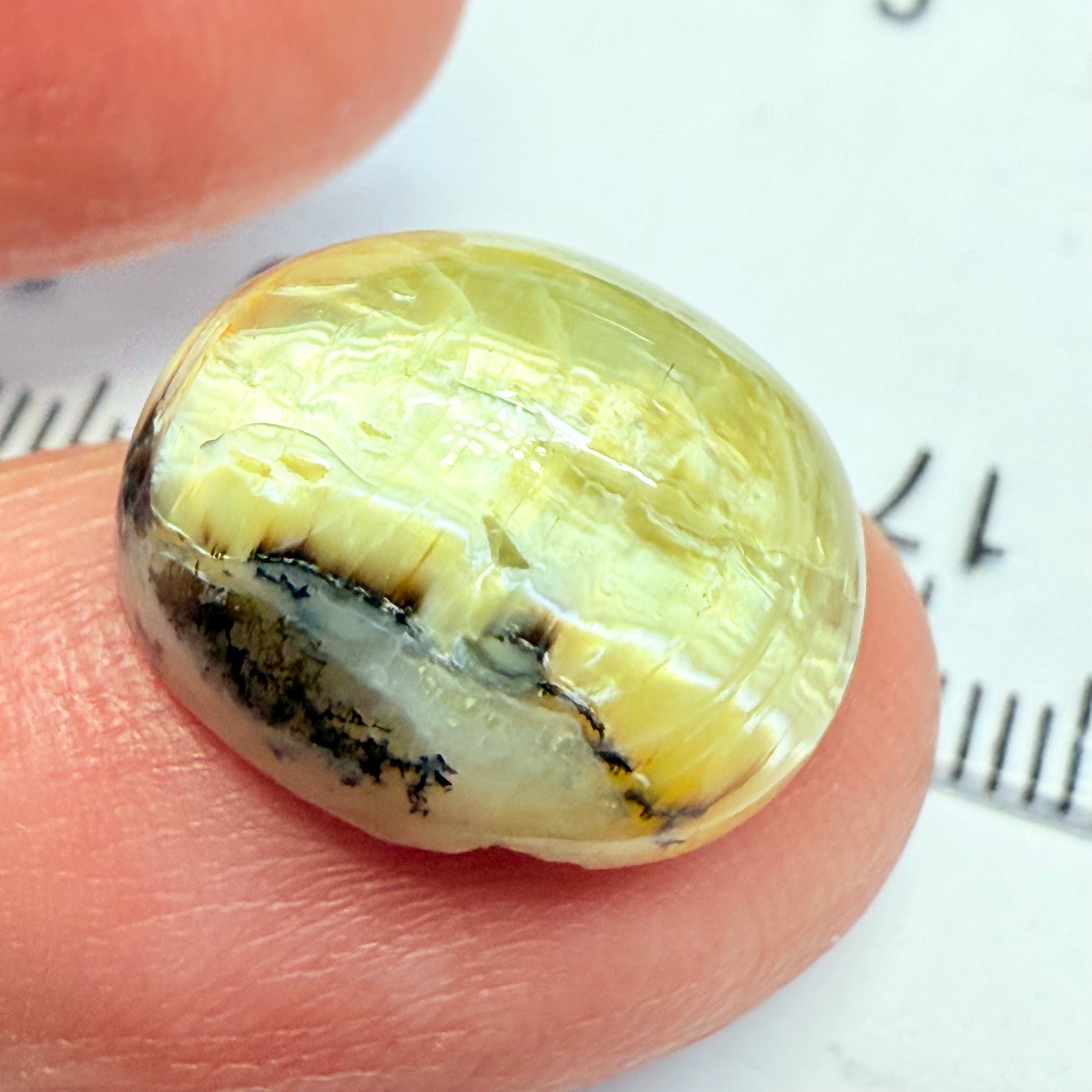 Cats-Eye Opal, 9.42ct, Tanzania, Untreated Unheated