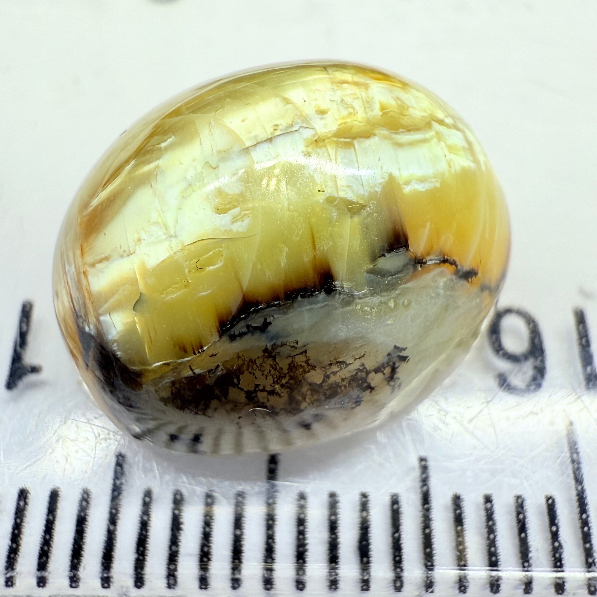 Cats-Eye Opal, 9.42ct, Tanzania, Untreated Unheated