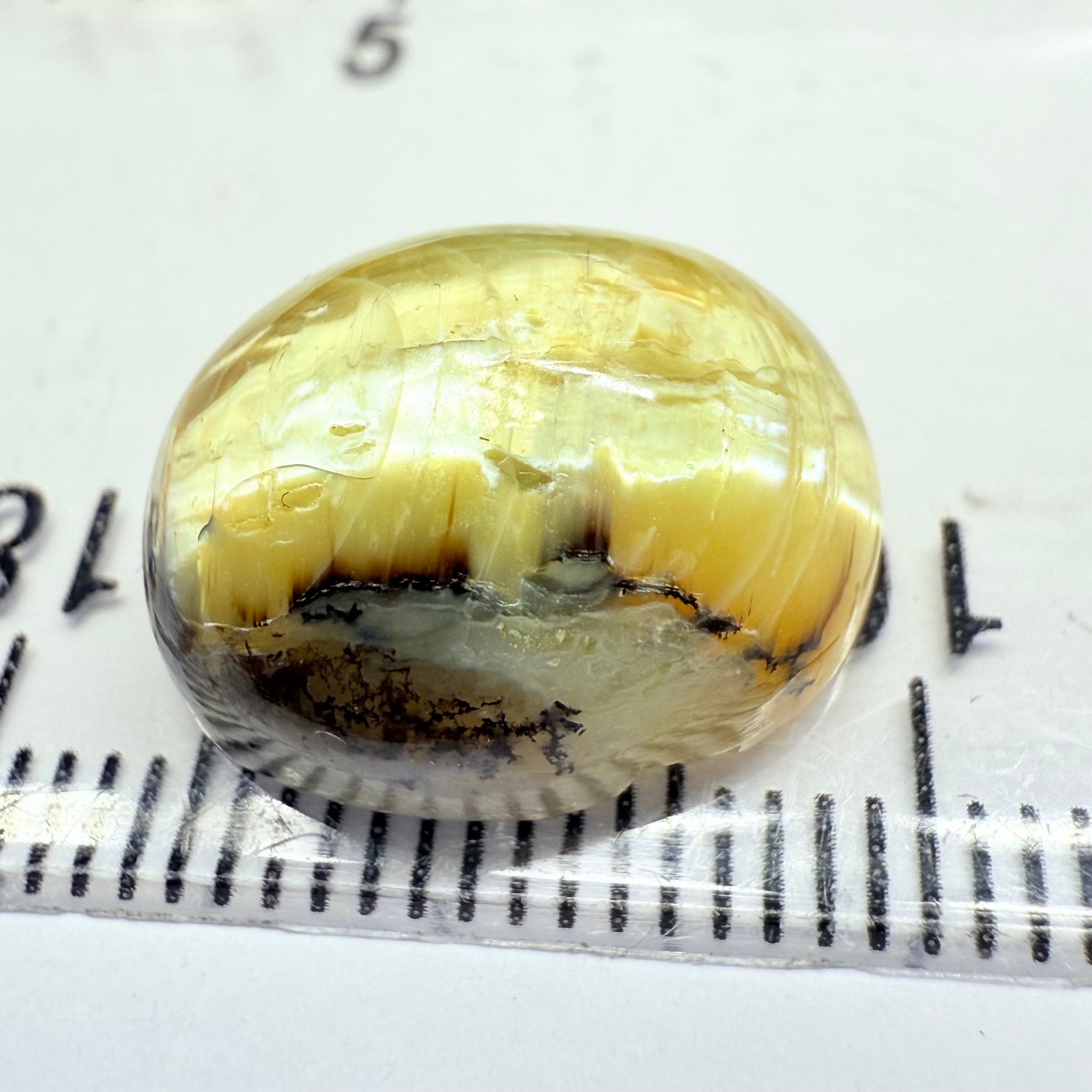 Cats-Eye Opal, 9.42ct, Tanzania, Untreated Unheated