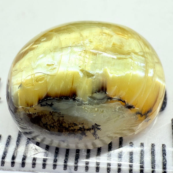 Cats-Eye Opal, 9.42ct, Tanzania, Untreated Unheated