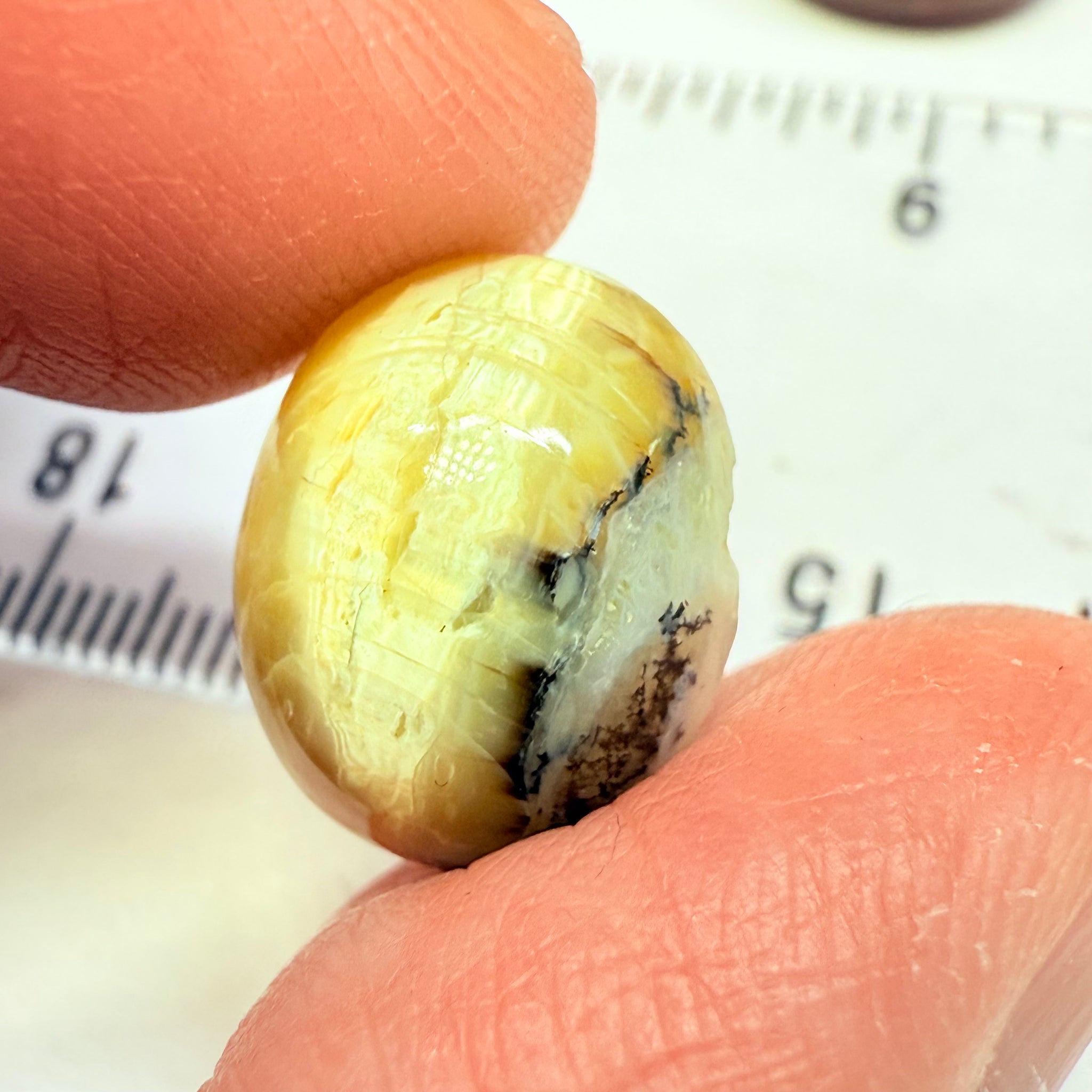 Cats-Eye Opal, 9.42ct, Tanzania, Untreated Unheated