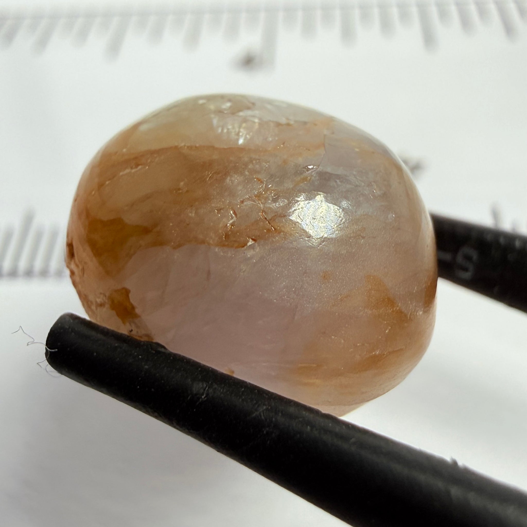 Sapphire Cabochon, 18.40ct, Umba, Tanzania, Untreated Unheated, looks like a polished pebble