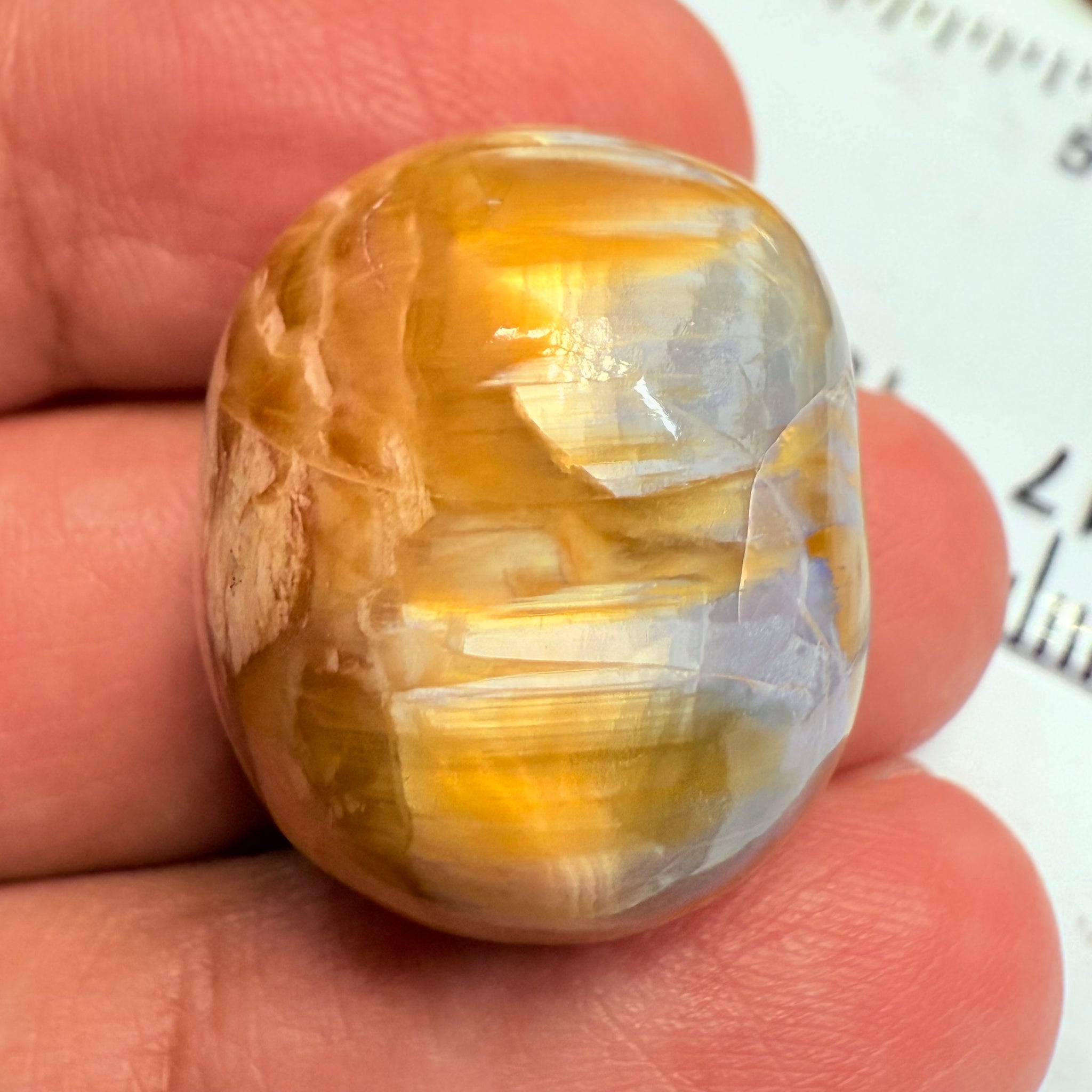 Cats-Eye Opal, 38.46ct, Tanzania, Untreated Unheated