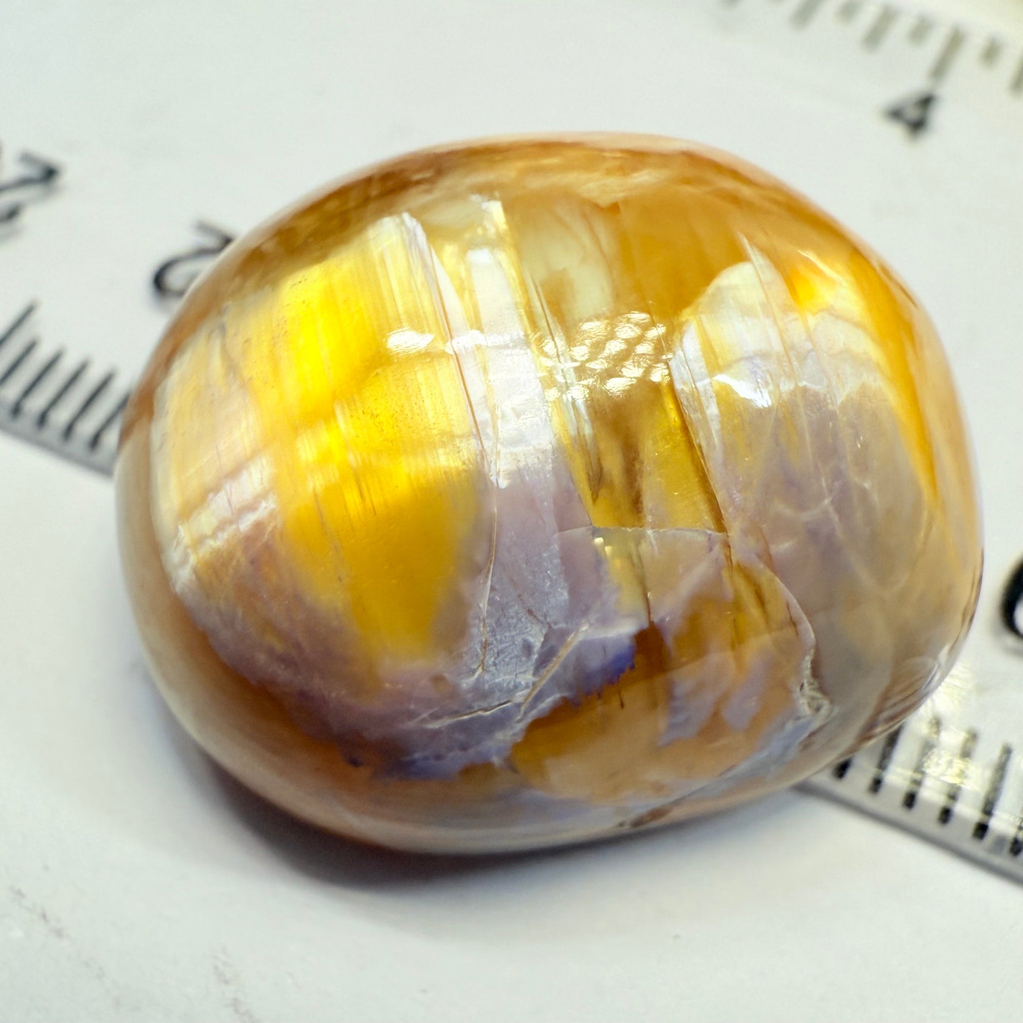 Cats-Eye Opal, 38.46ct, Tanzania, Untreated Unheated