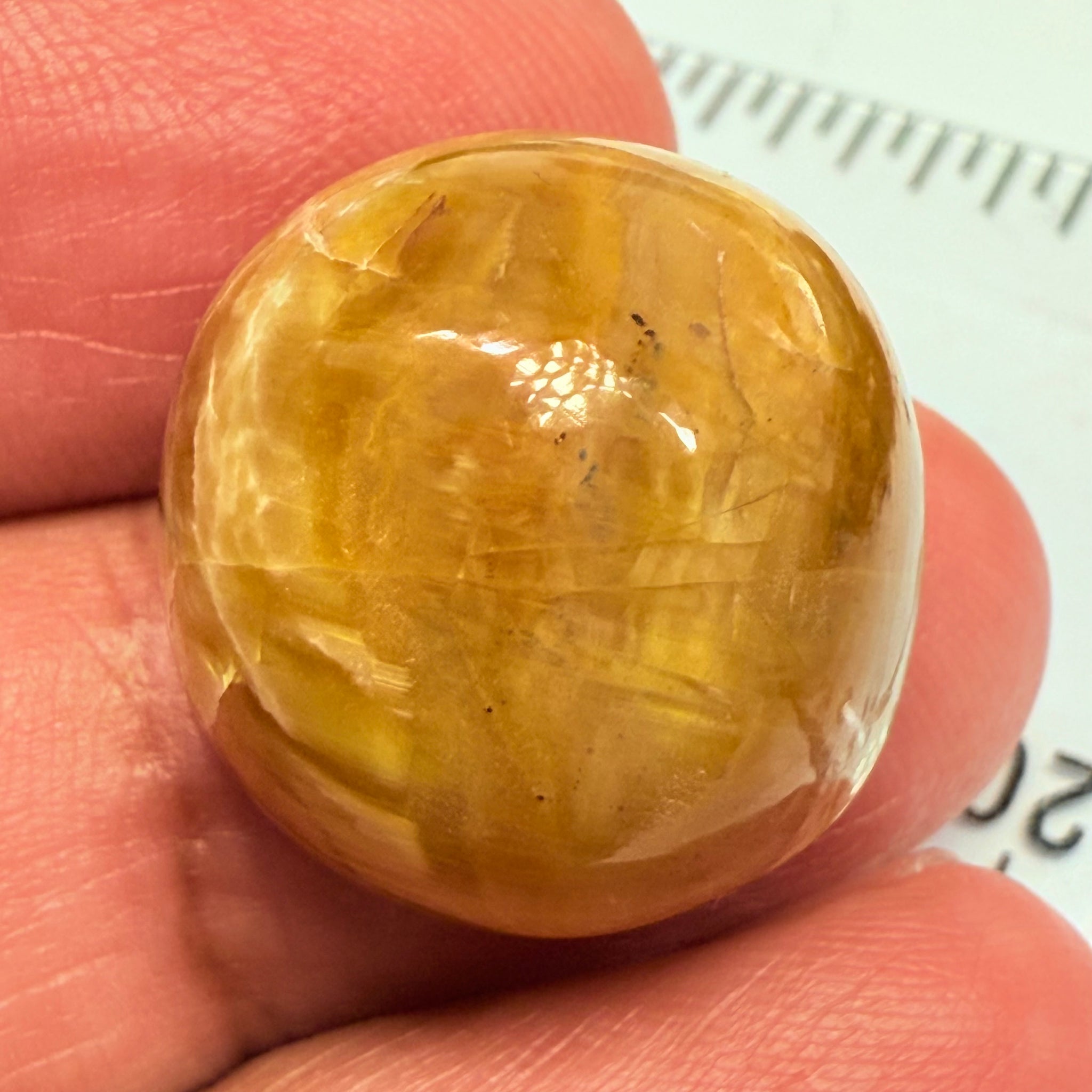 Cats-Eye Opal, 29.05ct, Tanzania, Untreated Unheated