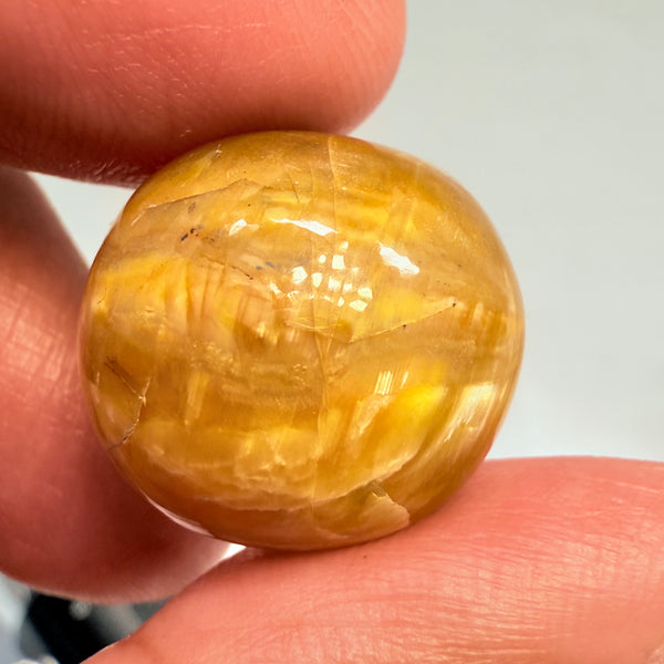 Cats-Eye Opal, 29.05ct, Tanzania, Untreated Unheated