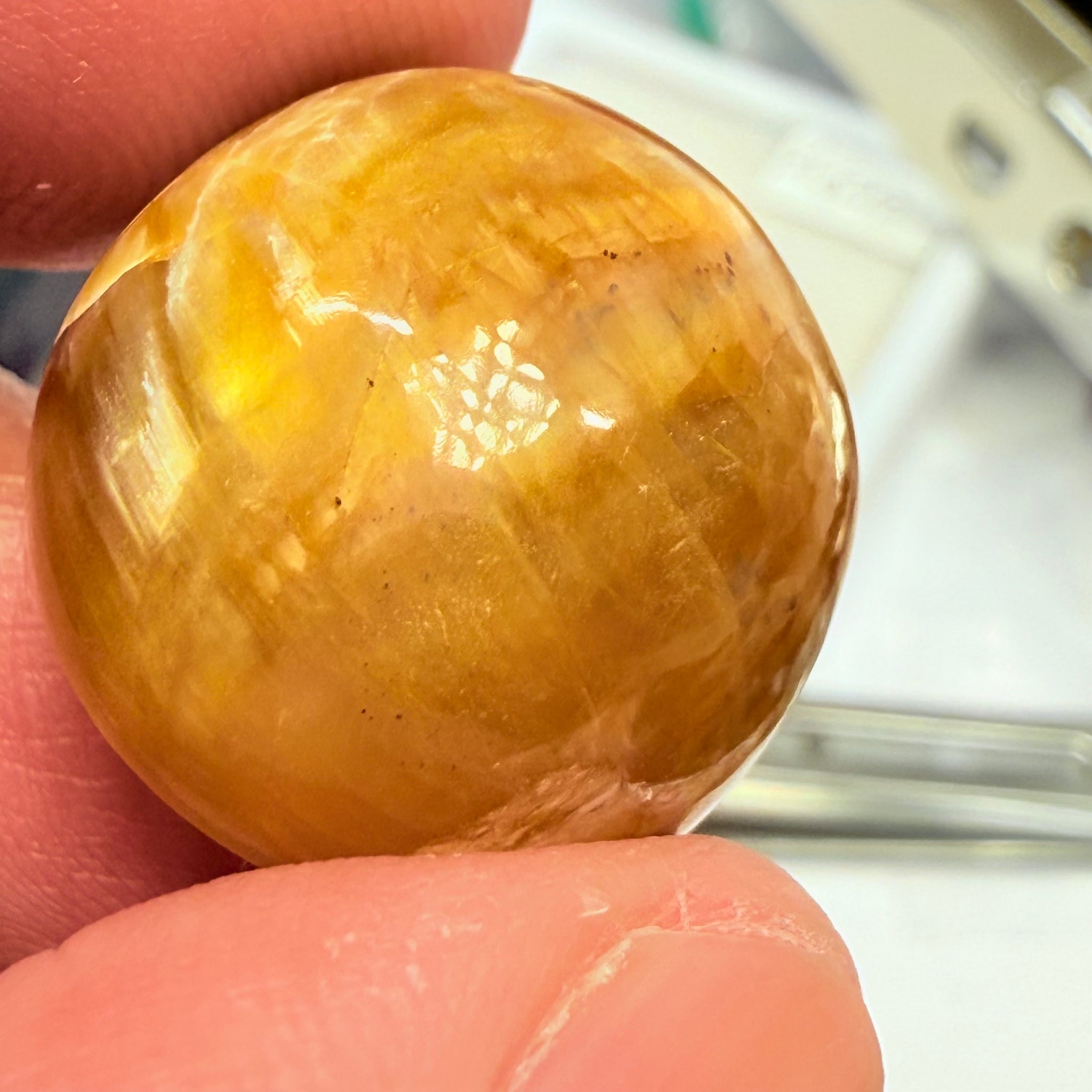 Cats-Eye Opal, 29.05ct, Tanzania, Untreated Unheated