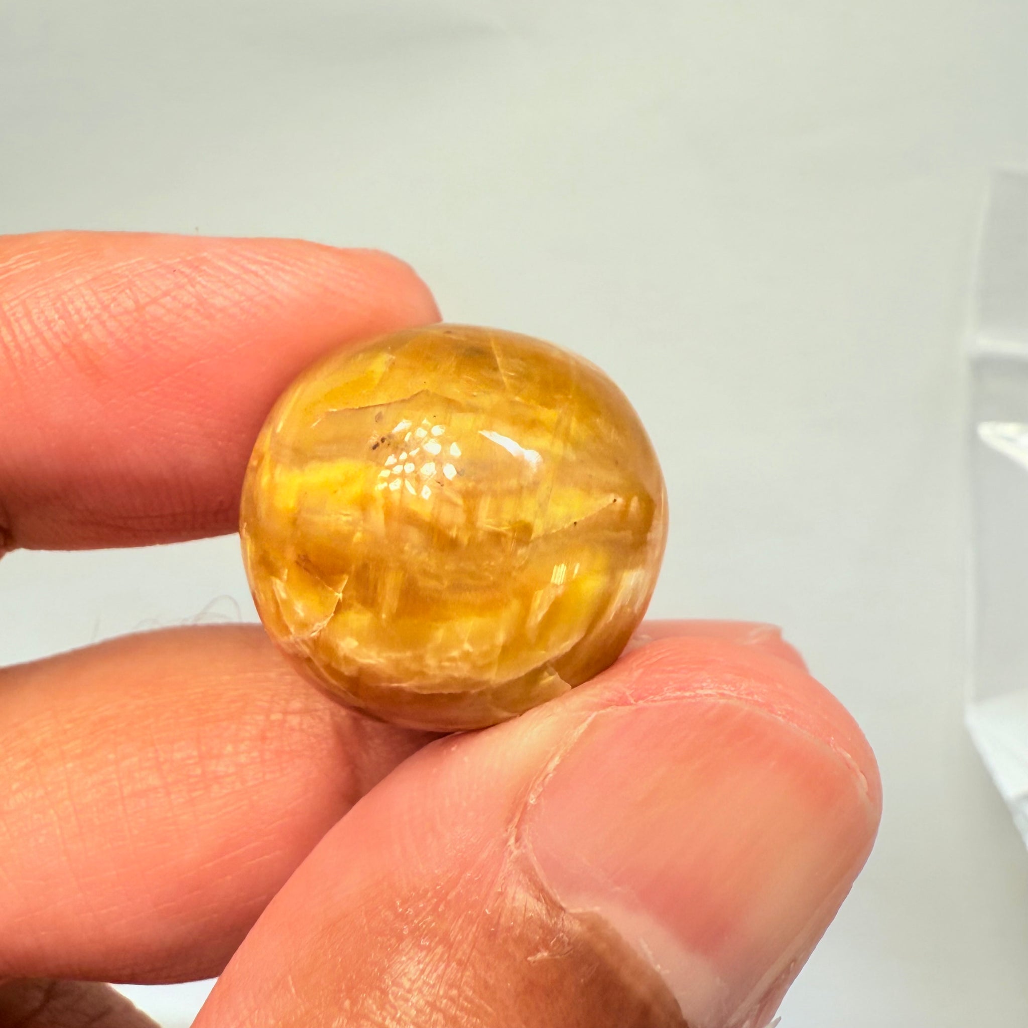 Cats-Eye Opal, 29.05ct, Tanzania, Untreated Unheated