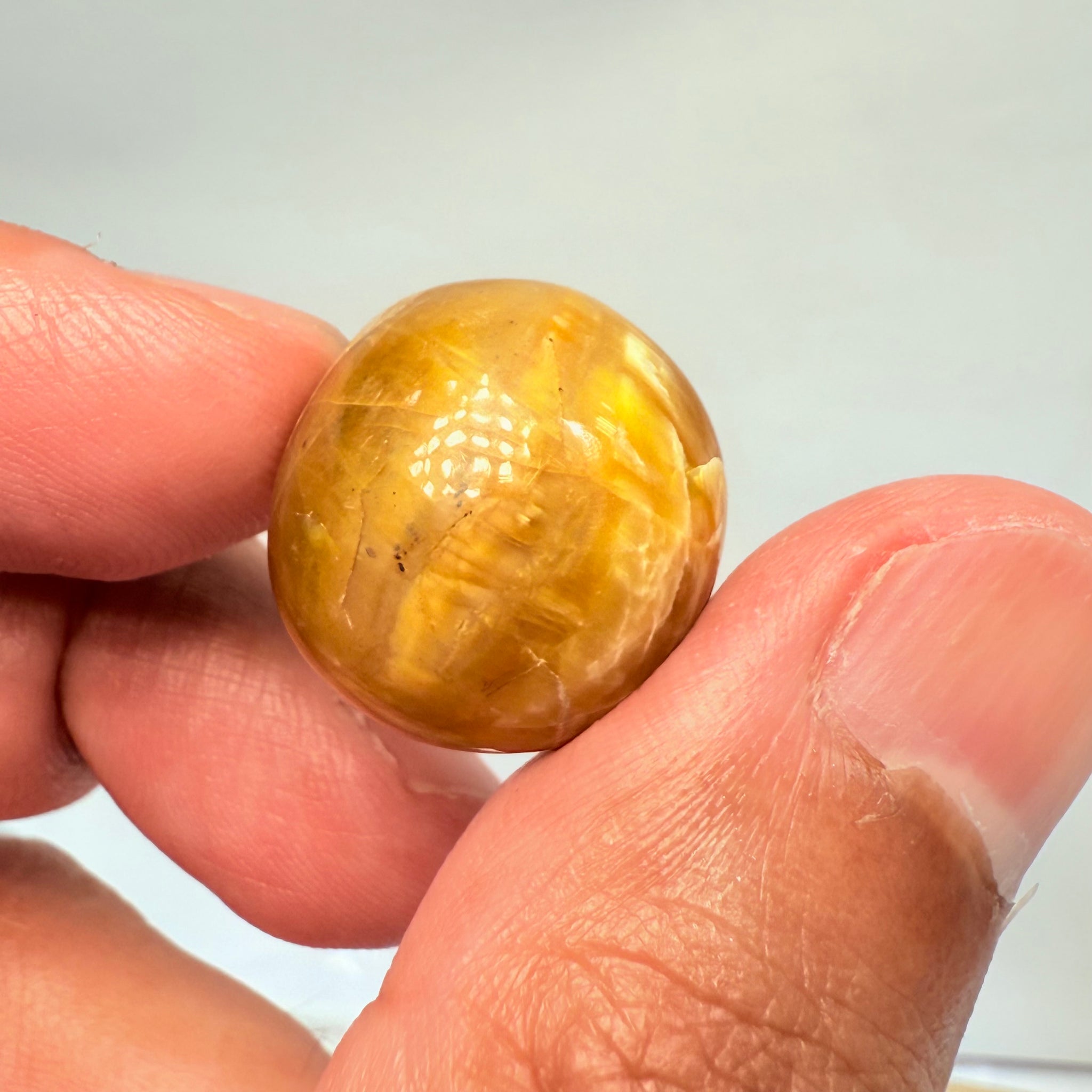 Cats-Eye Opal, 29.05ct, Tanzania, Untreated Unheated