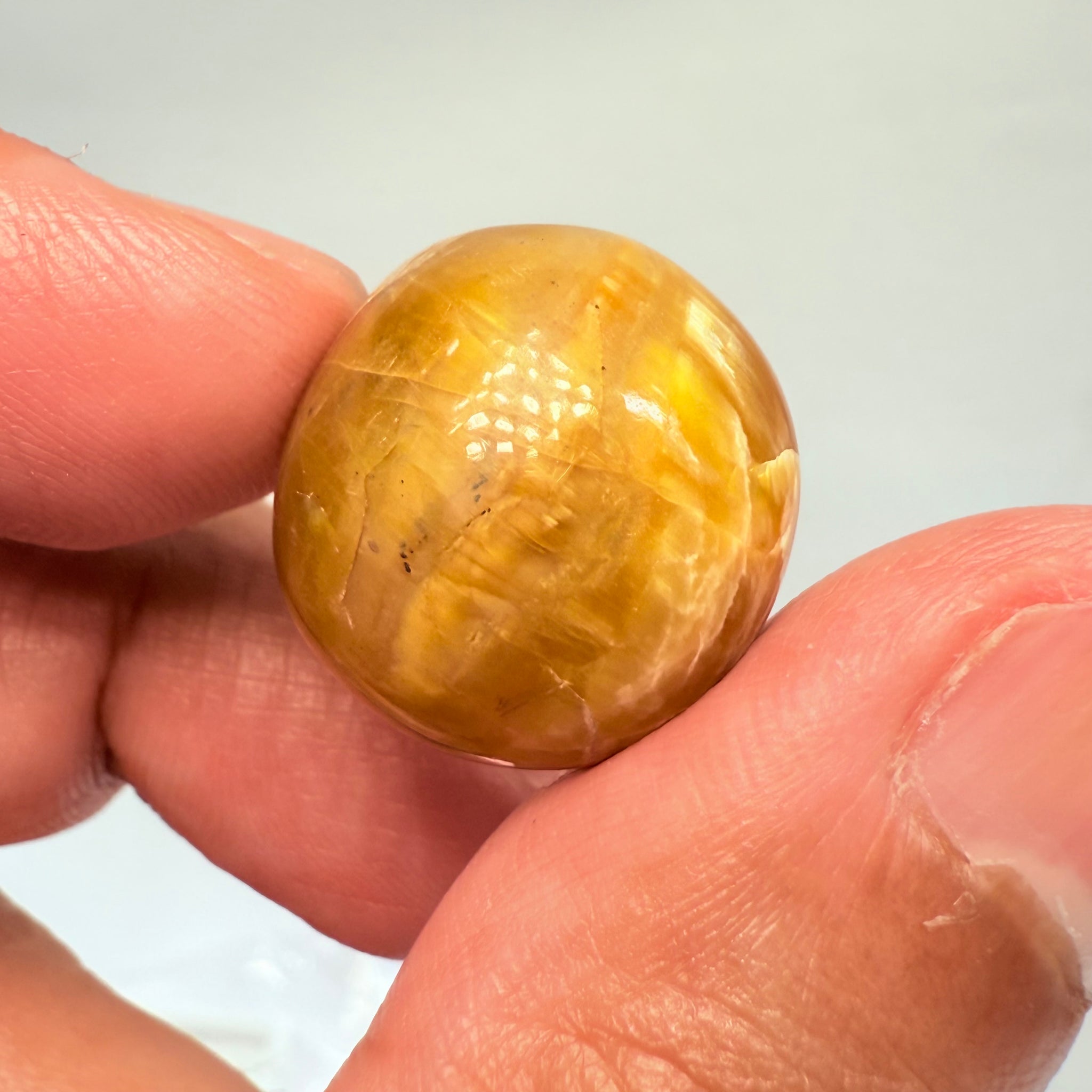 Cats-Eye Opal, 29.05ct, Tanzania, Untreated Unheated