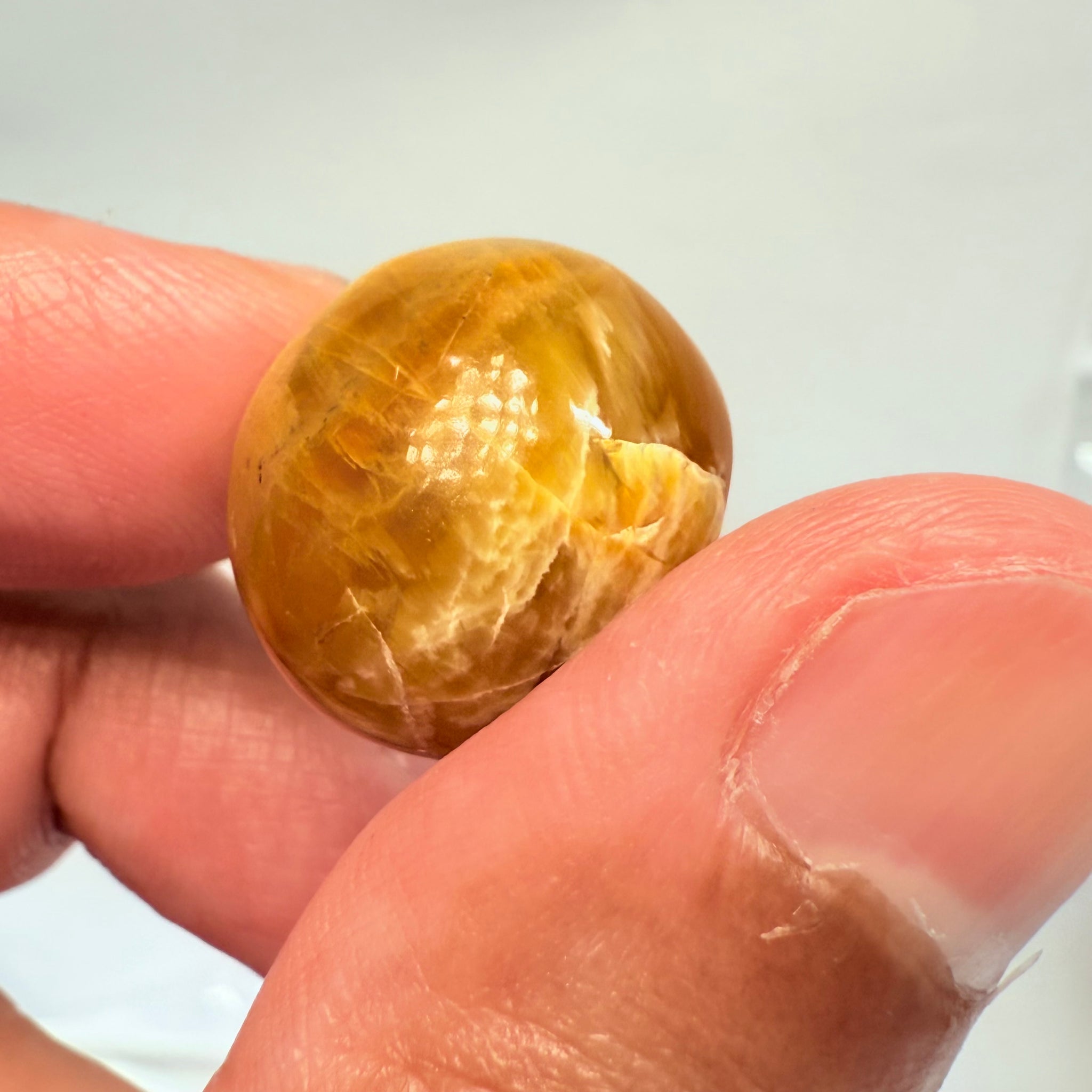 Cats-Eye Opal, 29.05ct, Tanzania, Untreated Unheated