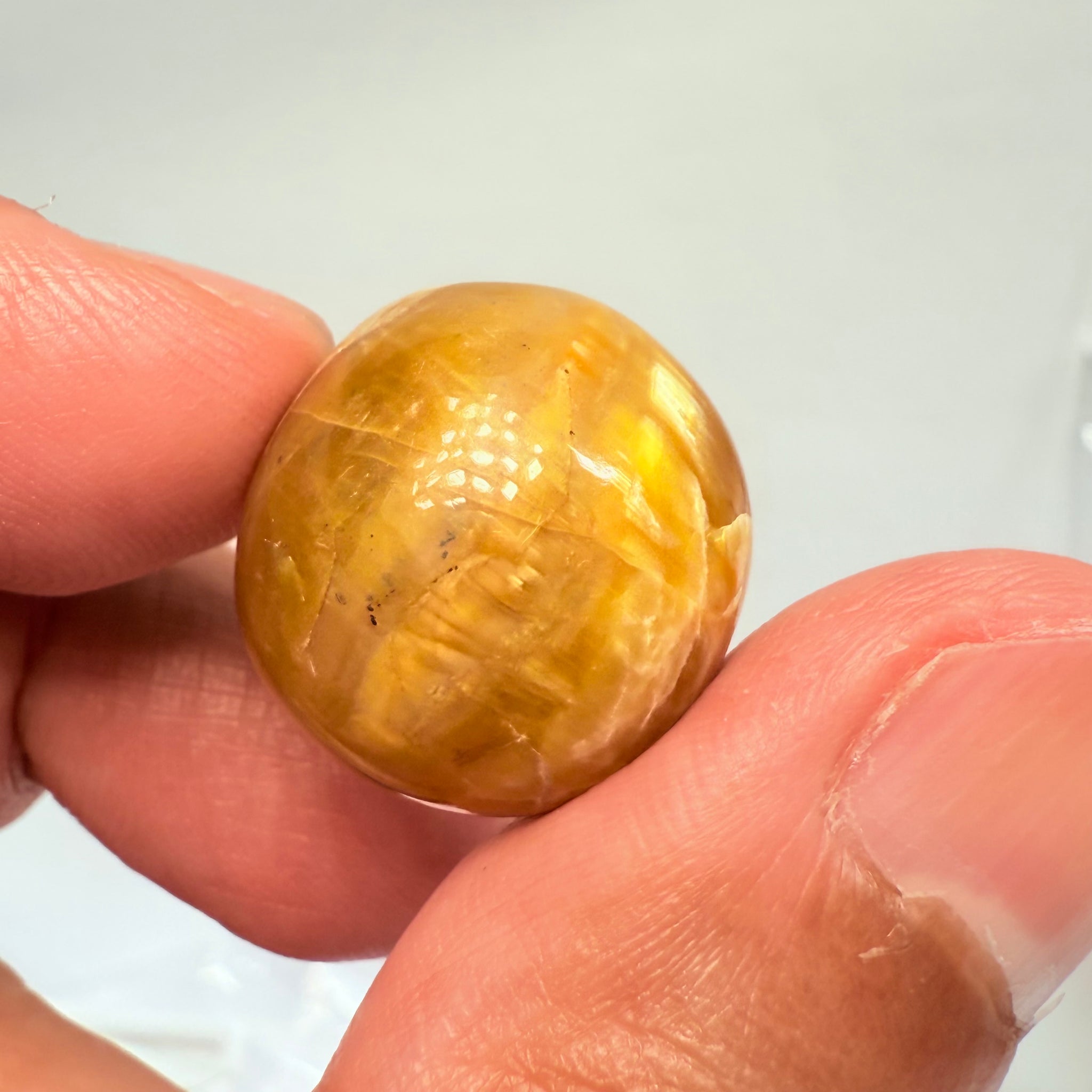 Cats-Eye Opal, 29.05ct, Tanzania, Untreated Unheated