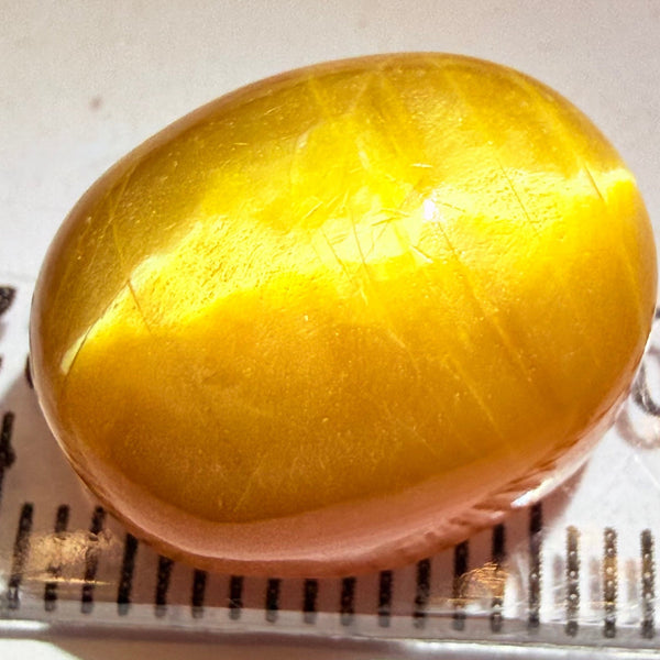 Cats-Eye Opal, 11.87ct, Tanzania, Untreated Unheated