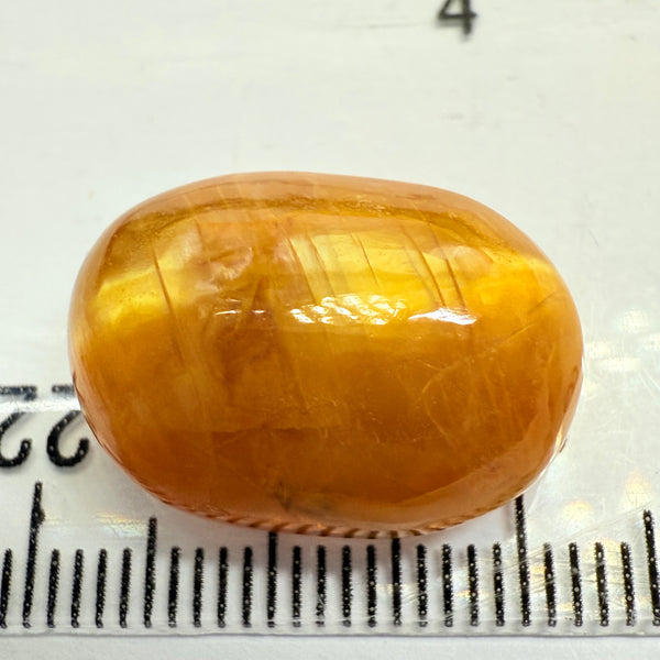 Cats-Eye Opal, 15.32ct, Tanzania, Untreated Unheated