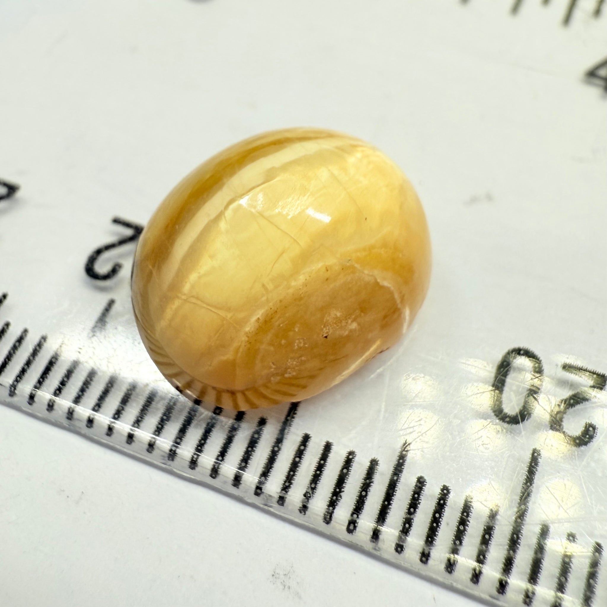 Cats-Eye Opal, 6.57ct, Tanzania, Untreated Unheated