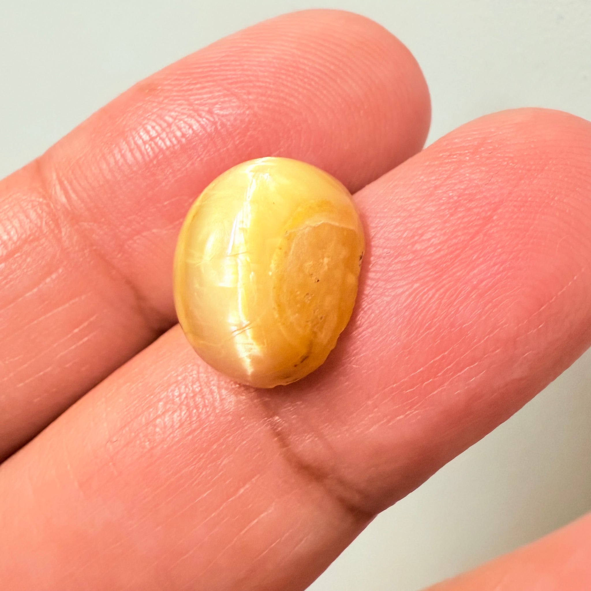 Cats-Eye Opal, 6.57ct, Tanzania, Untreated Unheated