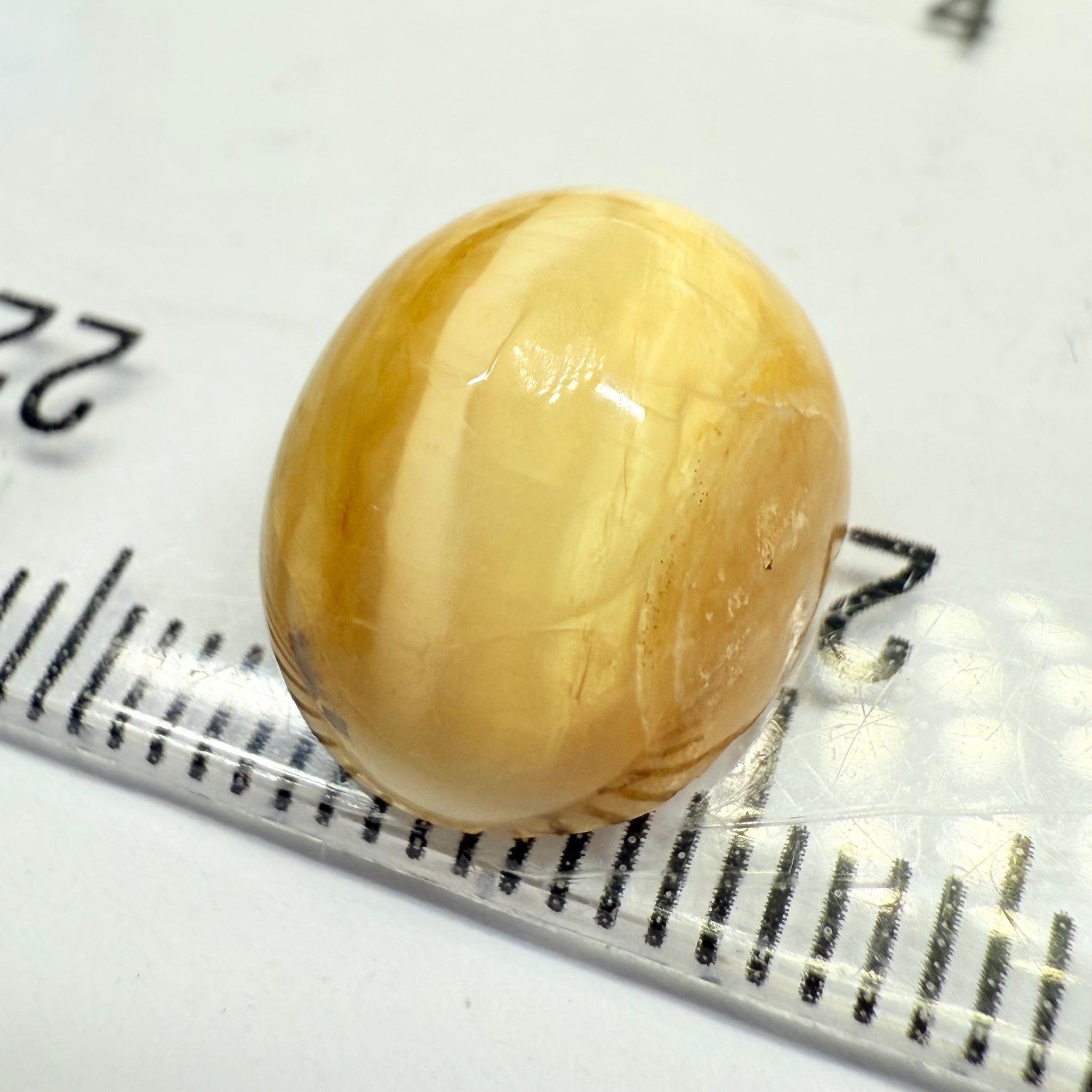 Cats-Eye Opal, 6.57ct, Tanzania, Untreated Unheated