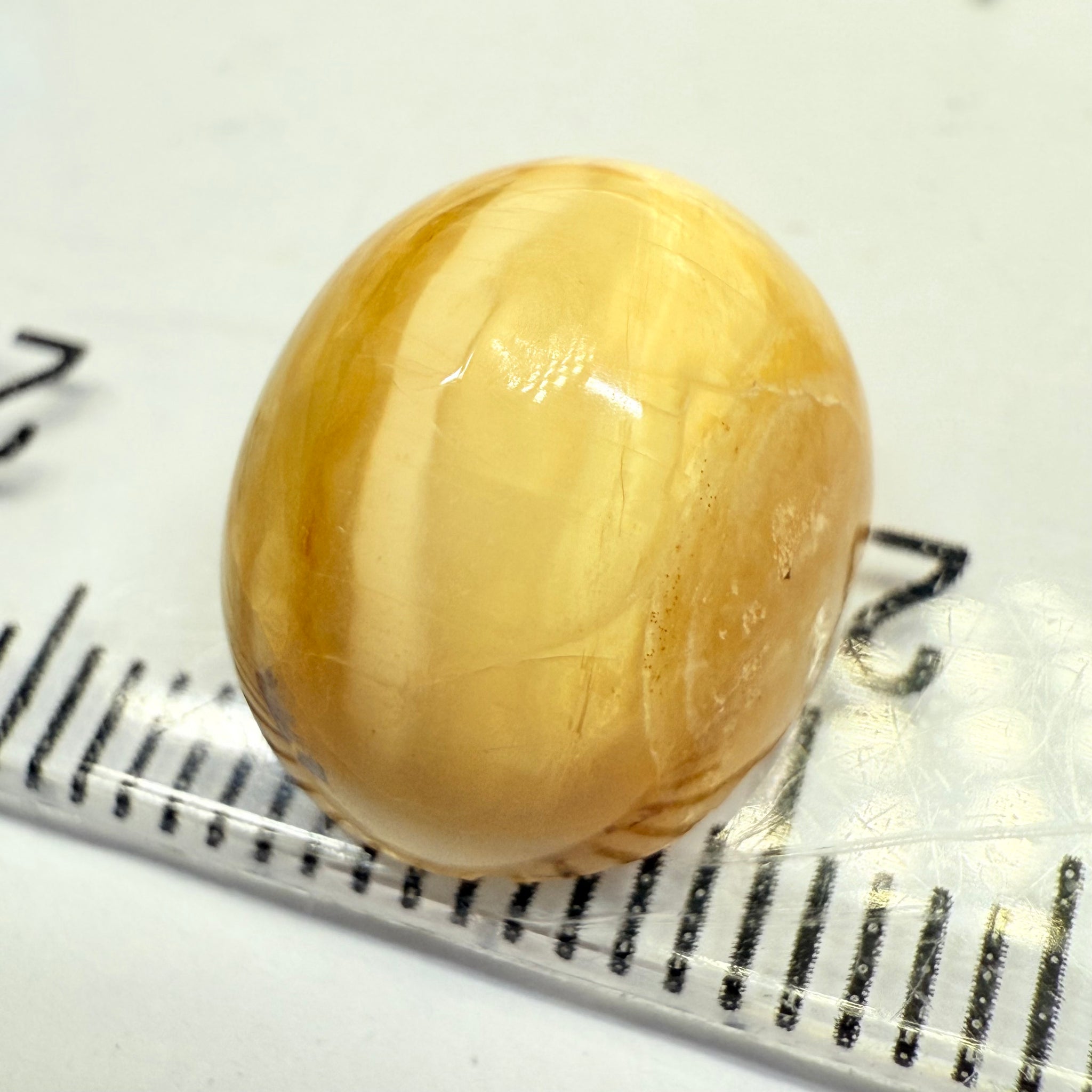 Cats-Eye Opal, 6.57ct, Tanzania, Untreated Unheated