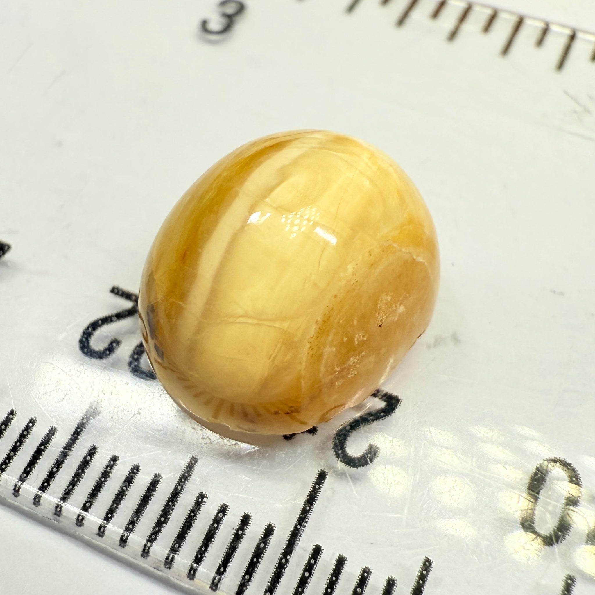 Cats-Eye Opal, 6.57ct, Tanzania, Untreated Unheated