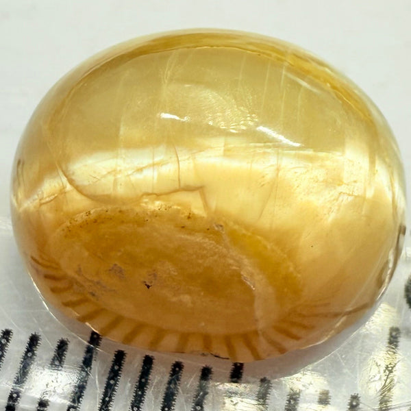 Cats-Eye Opal, 6.57ct, Tanzania, Untreated Unheated