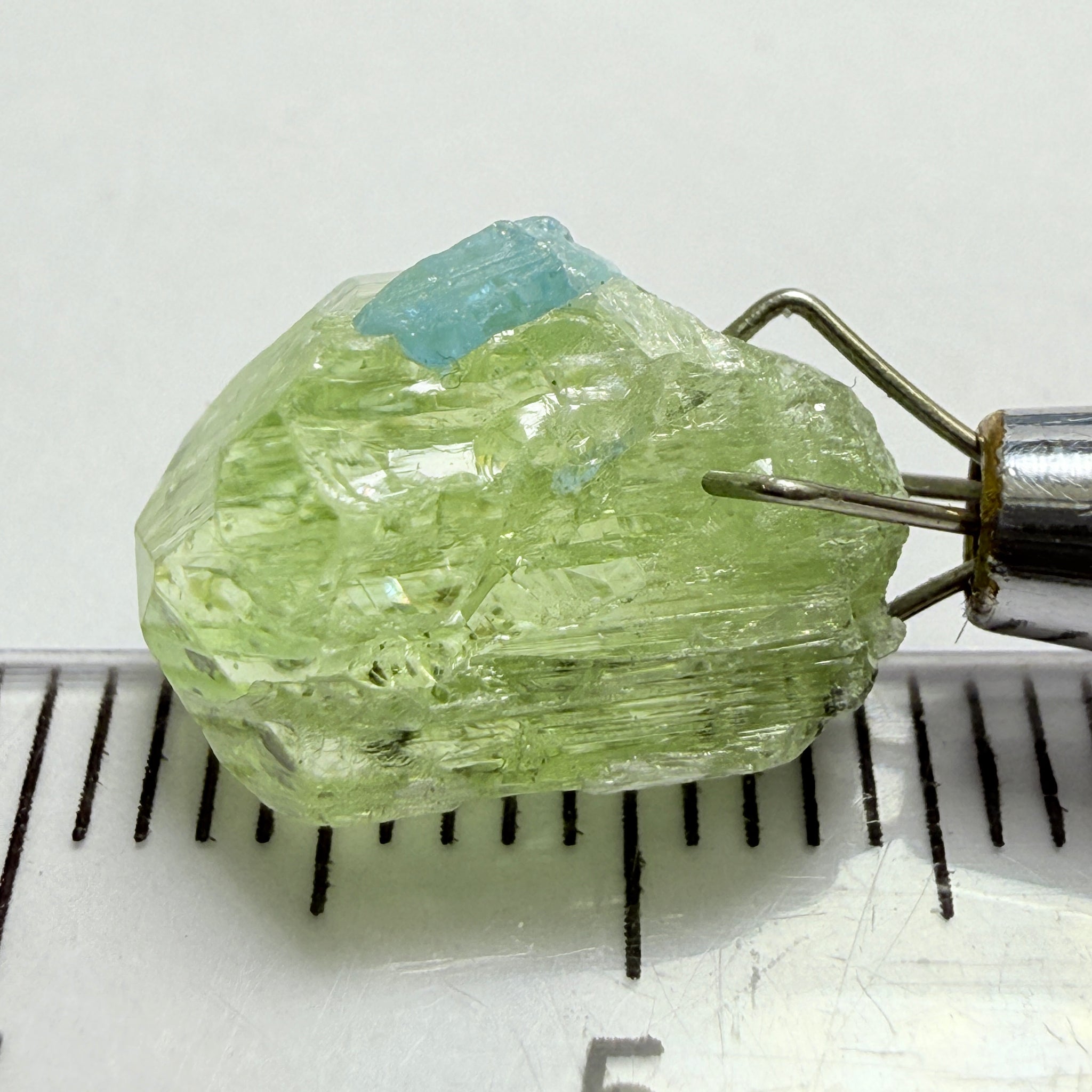 Diopside Crystal with Apatite, 5.60ct, Merelani, Tanzania, Untreated Unheated