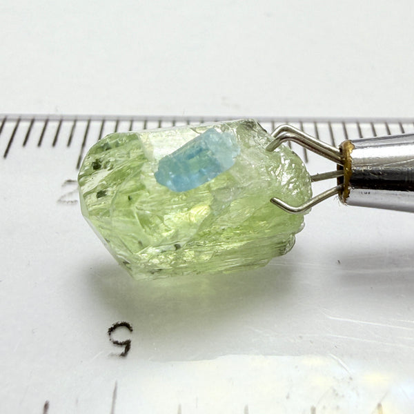 Diopside Crystal with Apatite, 5.60ct, Merelani, Tanzania, Untreated Unheated
