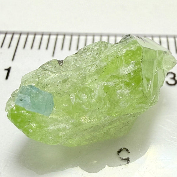 Diopside Crystal with Apatite, 10.40ct, Merelani, Tanzania, Untreated Unheated
